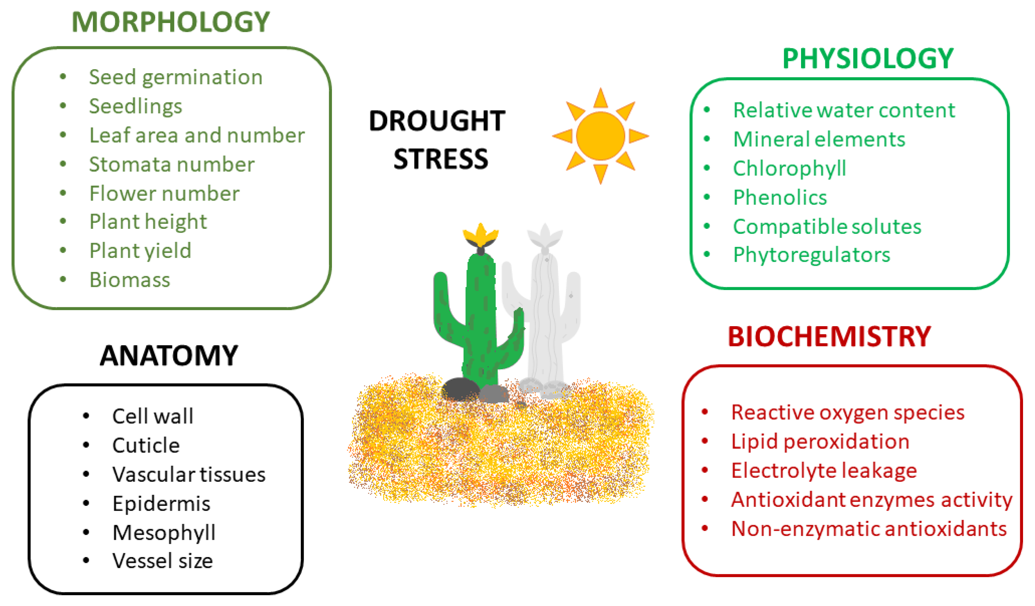 Horticulturae 07 00390 g001 Horticulturae 07 00390 g001