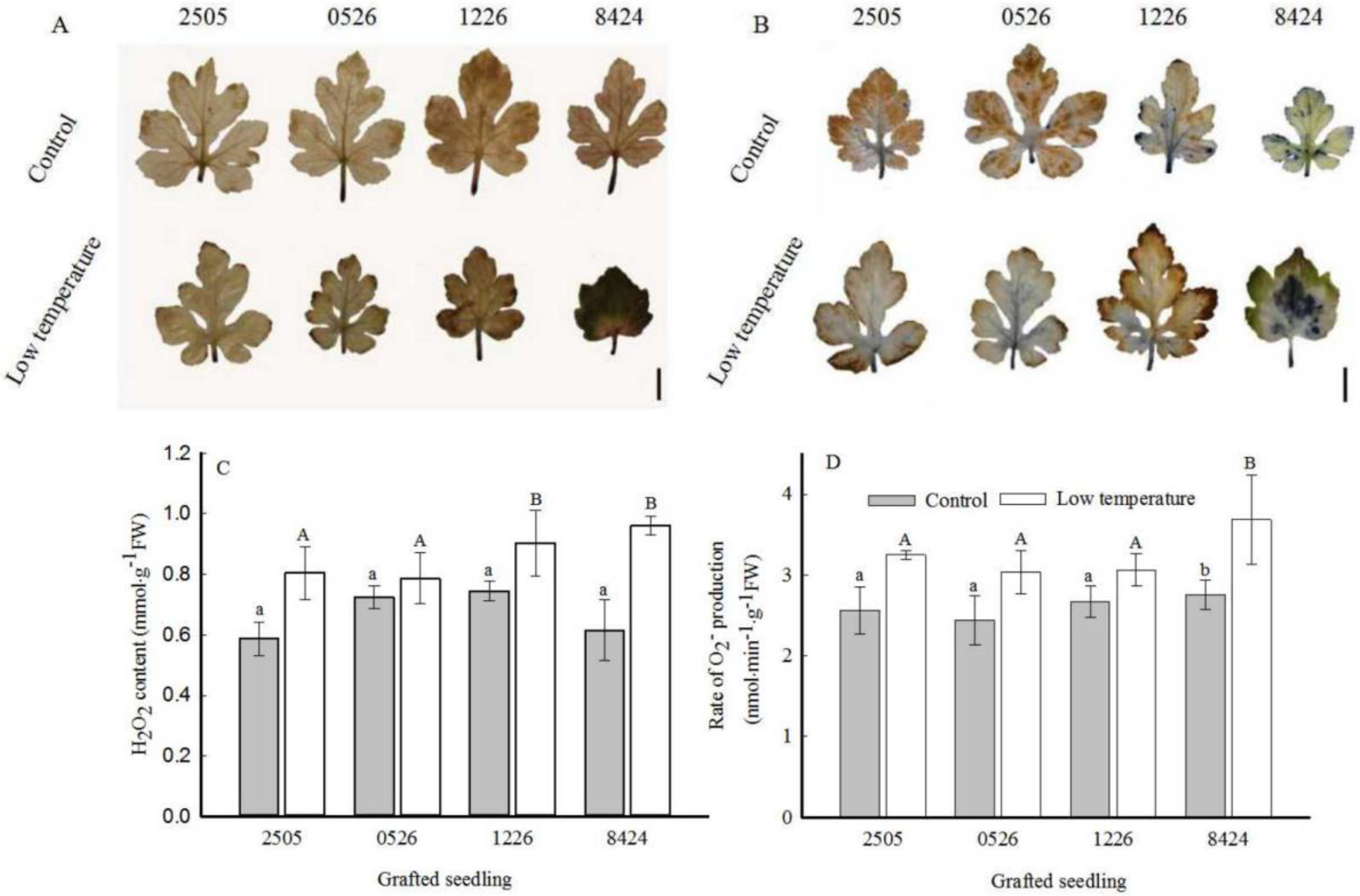 Horticulturae 07 00391 g001