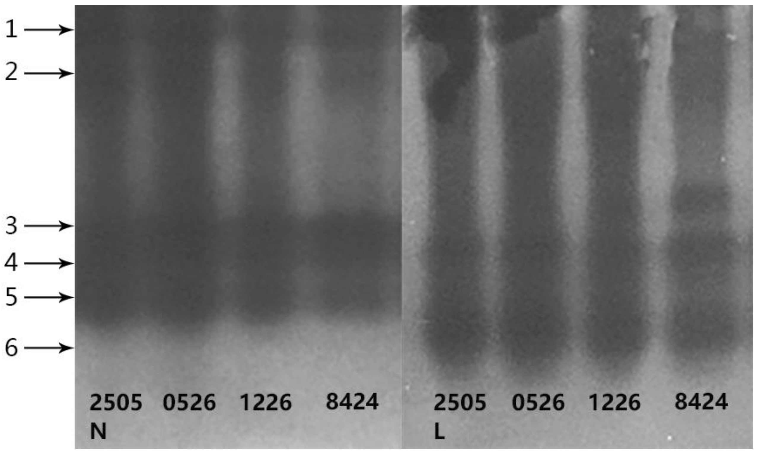 Horticulturae 07 00391 g004