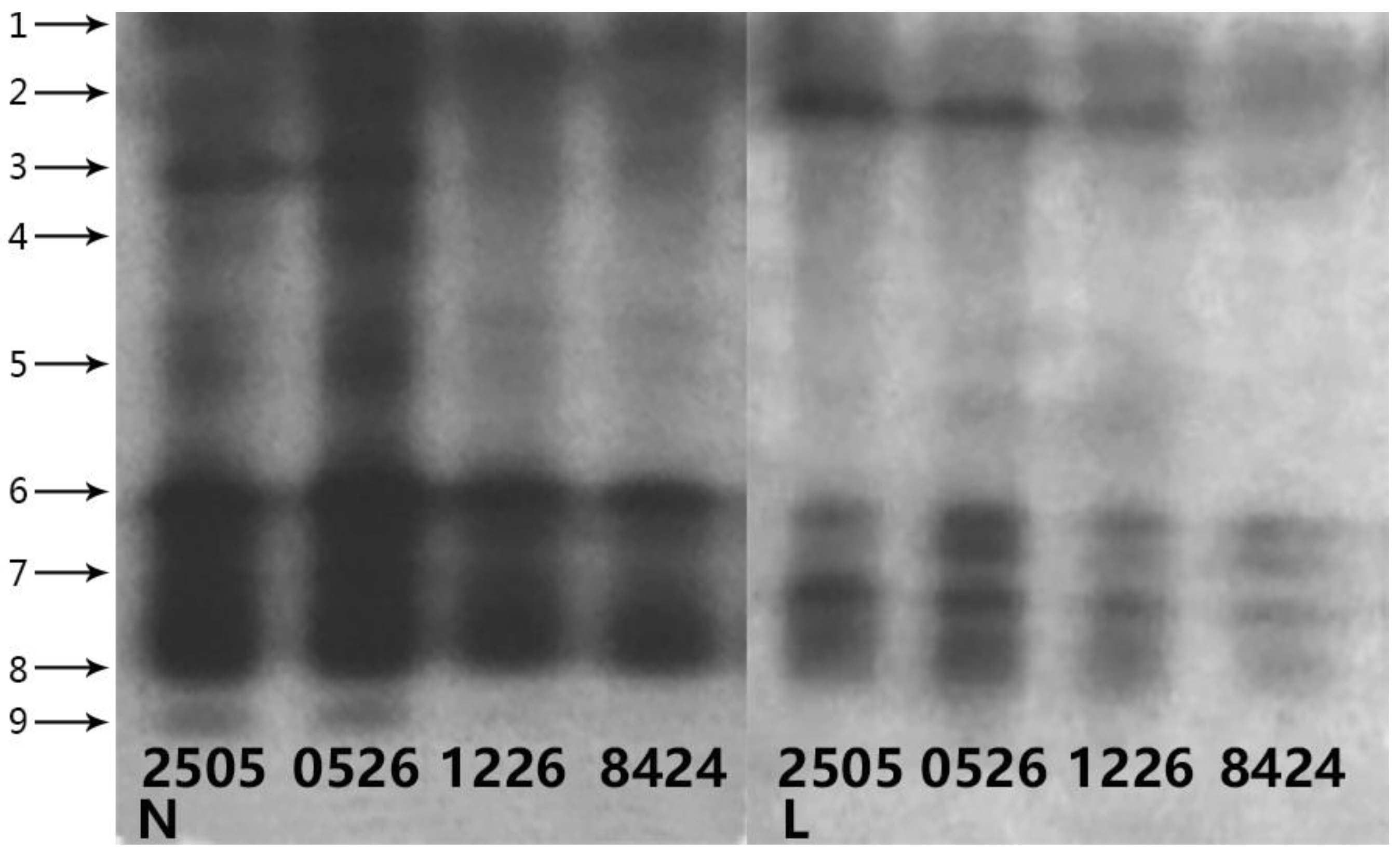 Horticulturae 07 00391 g005
