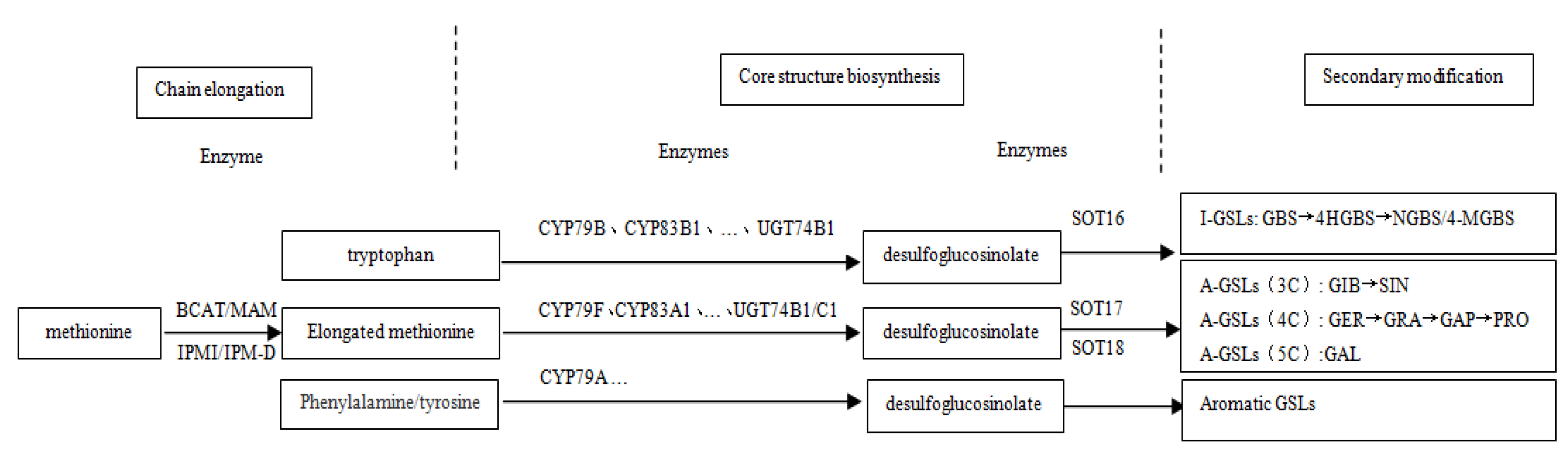 Horticulturae 07 00398 g001 550