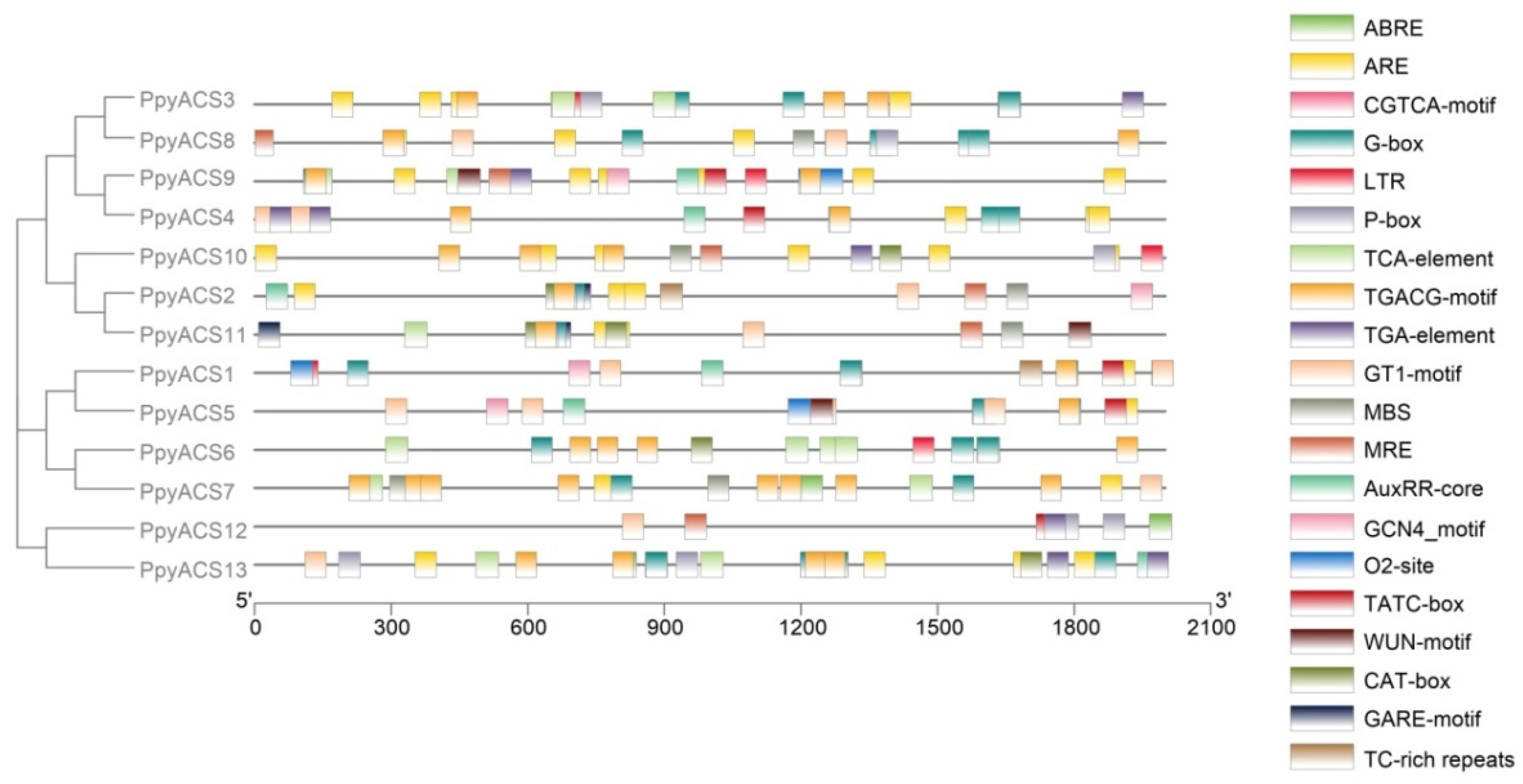 Horticulturae 07 00401 g003