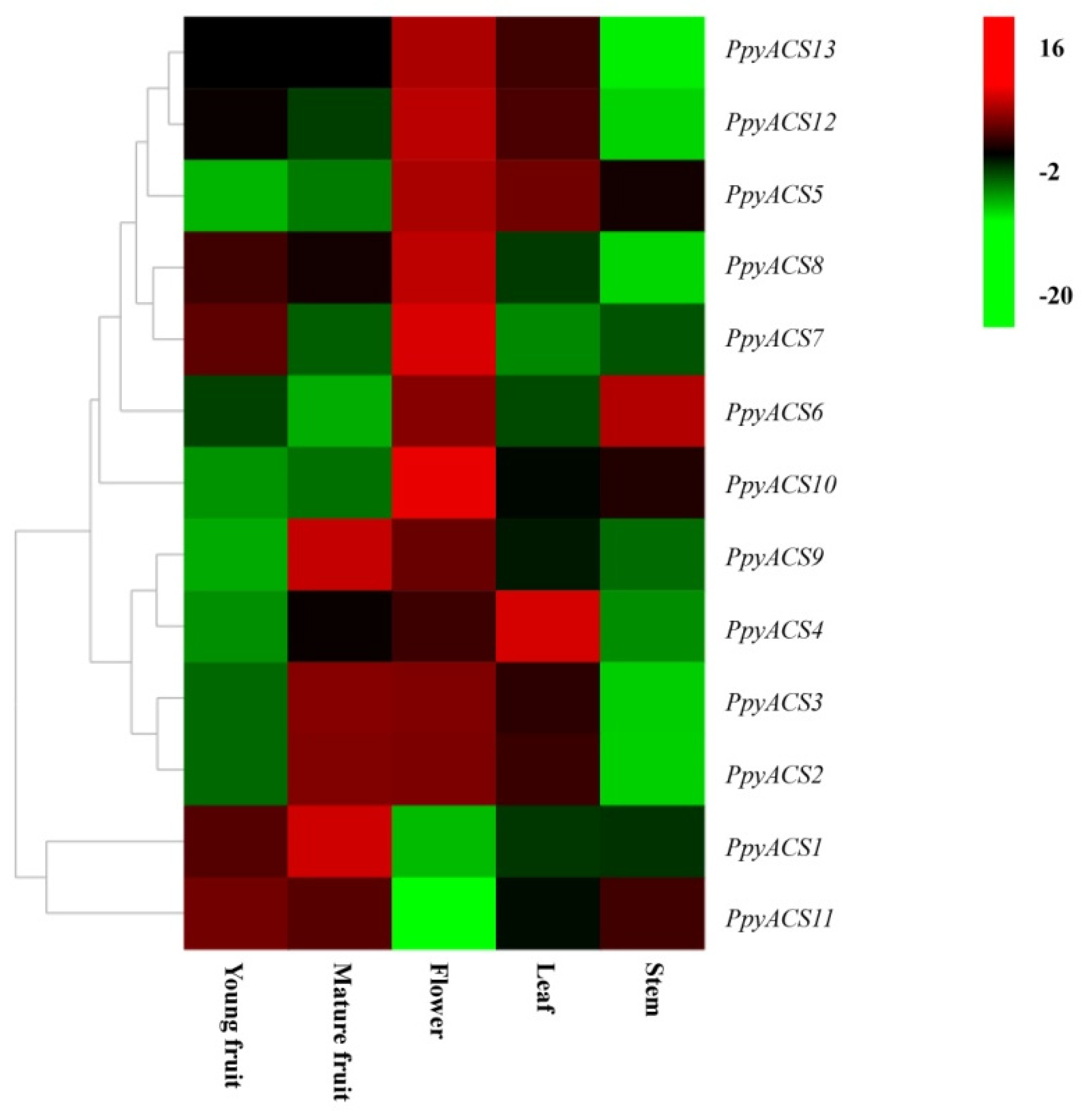 Horticulturae 07 00401 g005