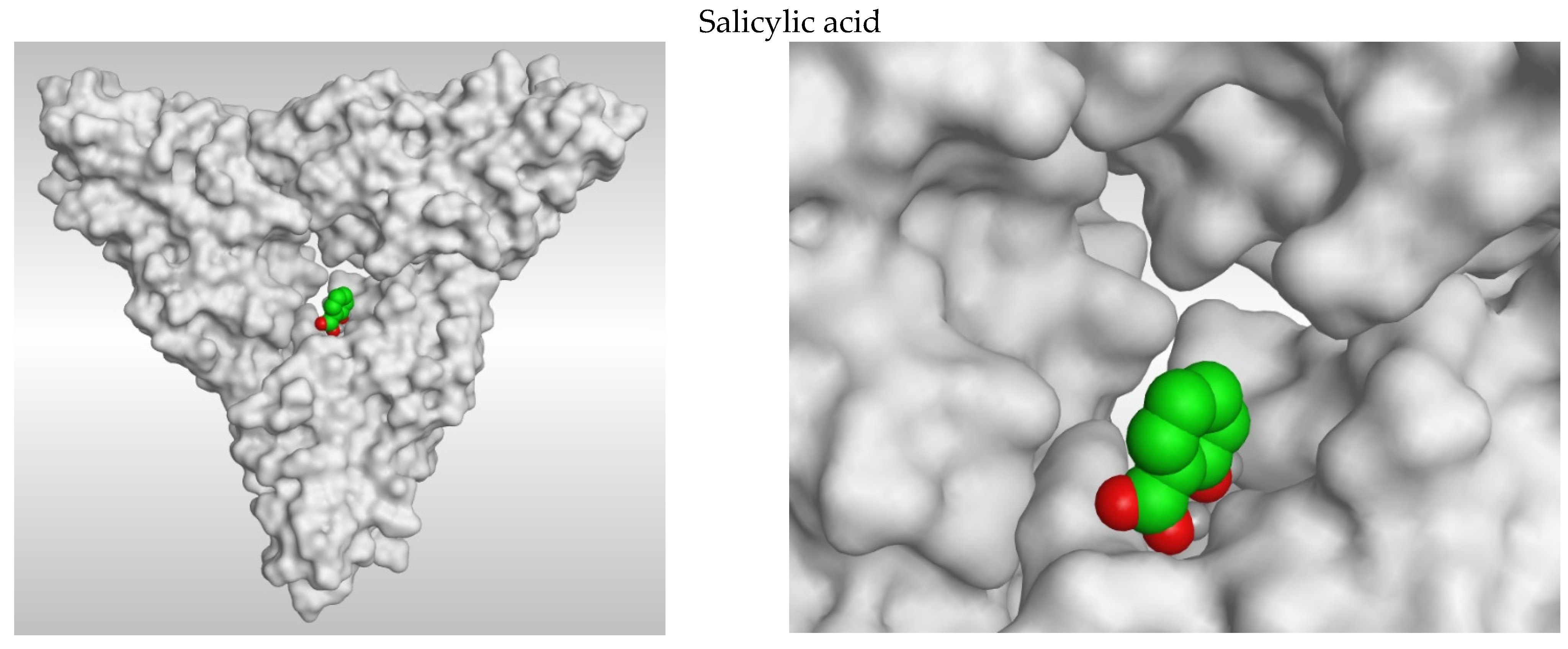 Horticulturae 07 00402 g002b