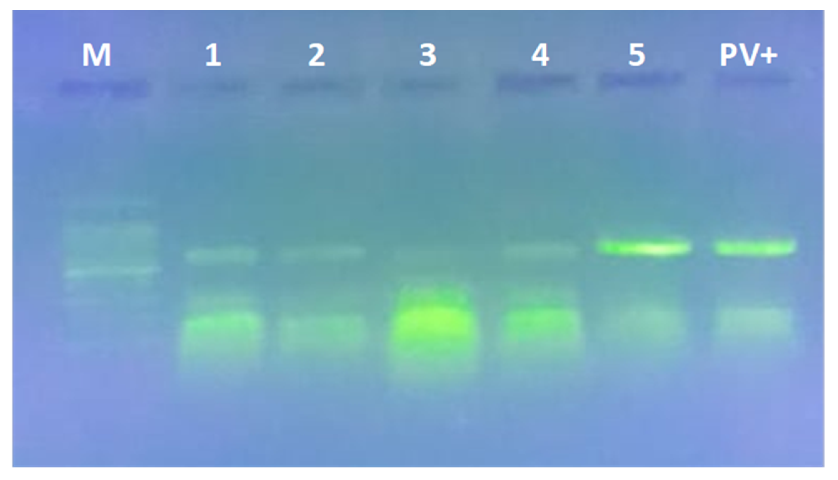 Horticulturae 07 00402 g010