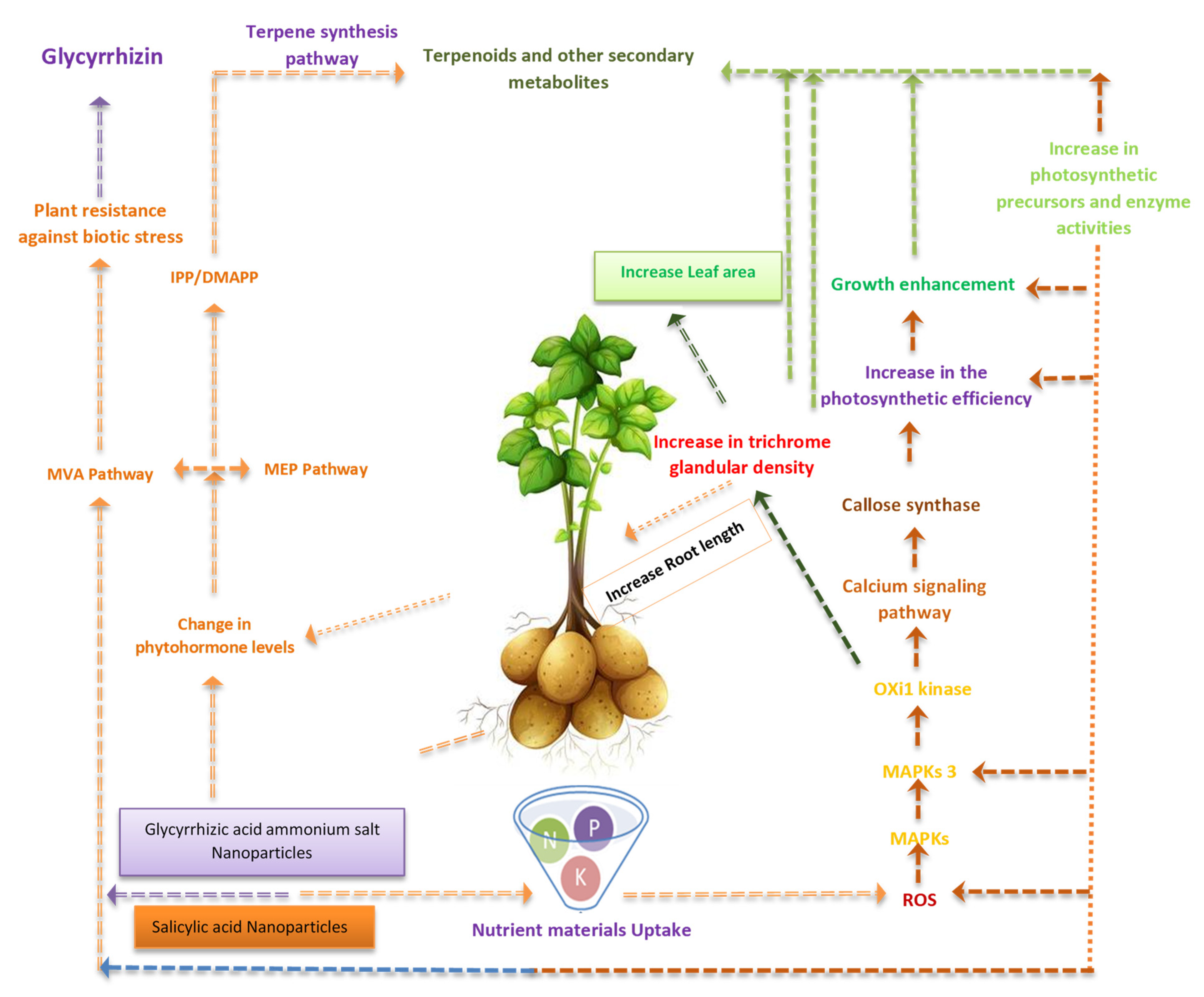 Horticulturae 07 00402 g012