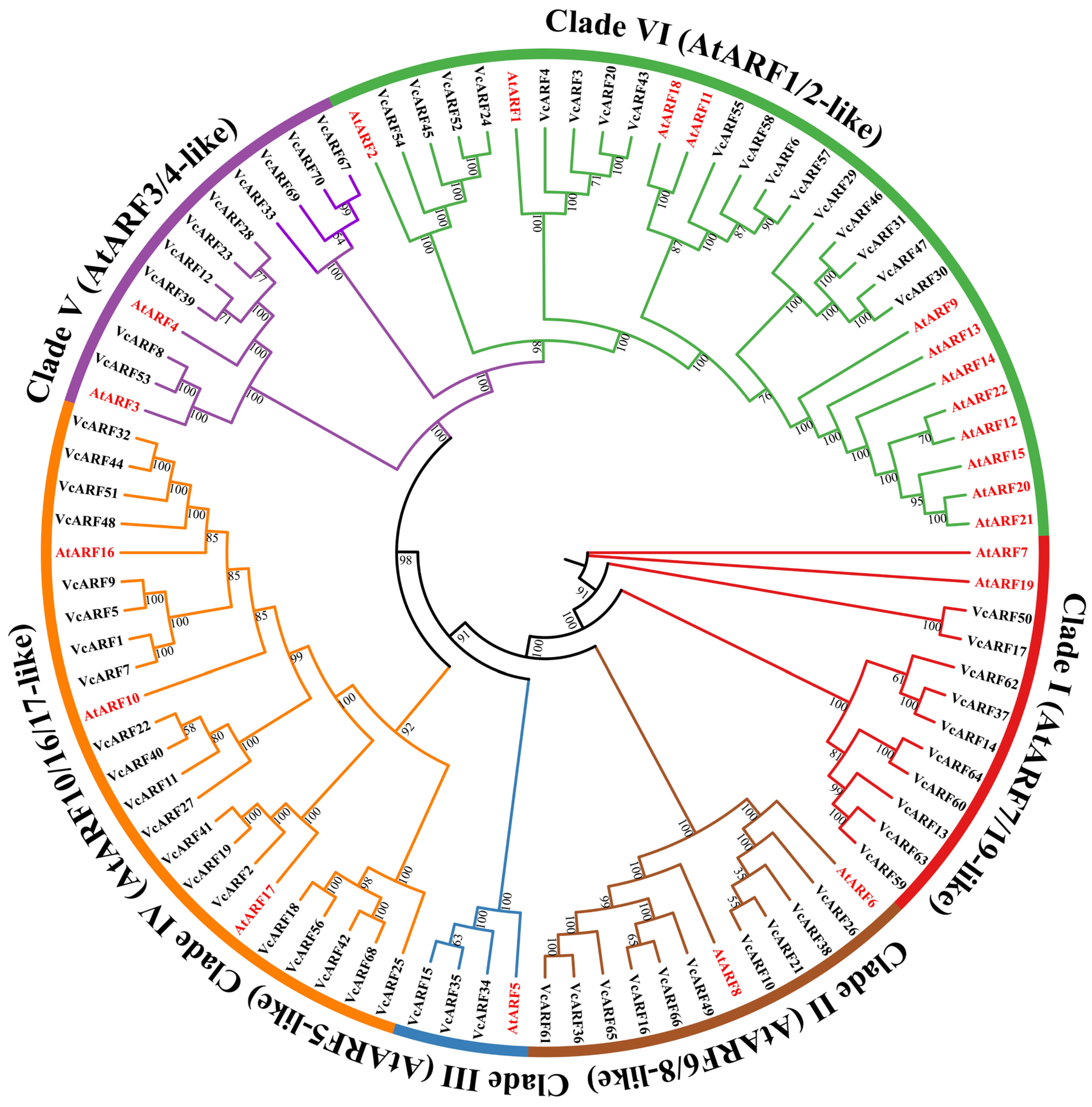 Horticulturae 07 00403 g001 550