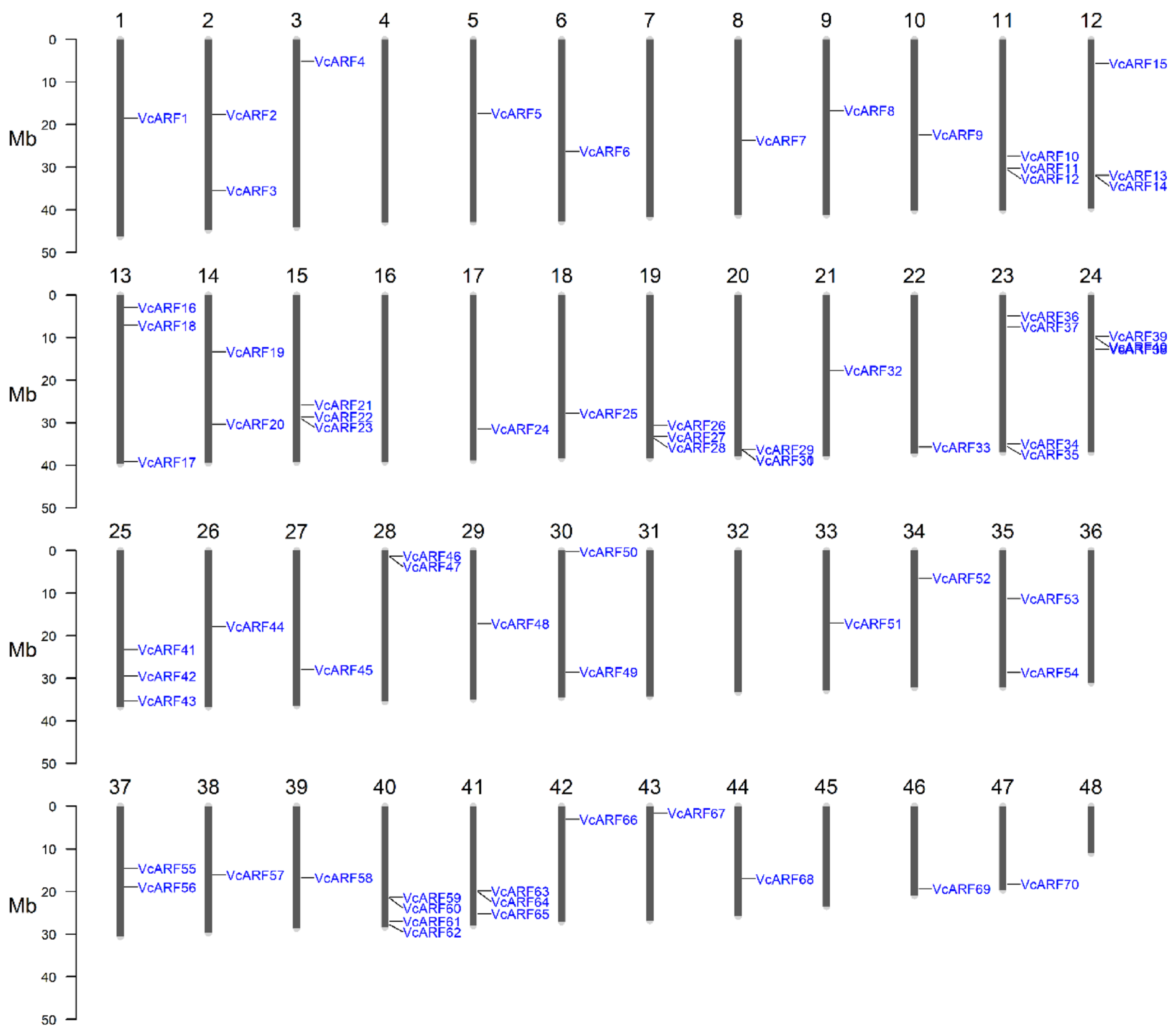 Horticulturae 07 00403 g003 550