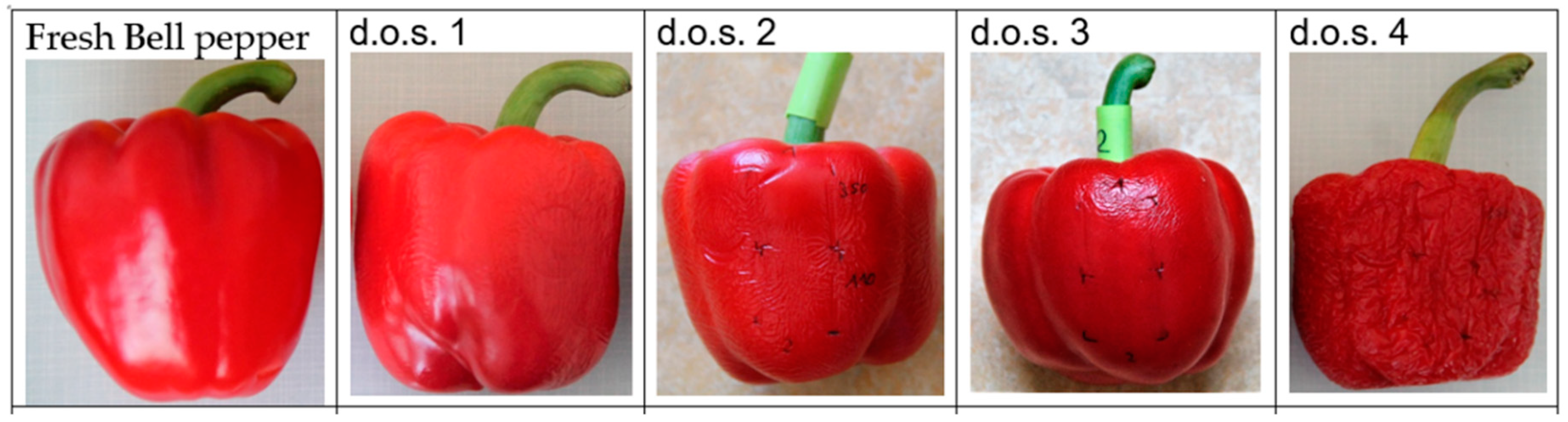 Horticulturae 07 00405 g002