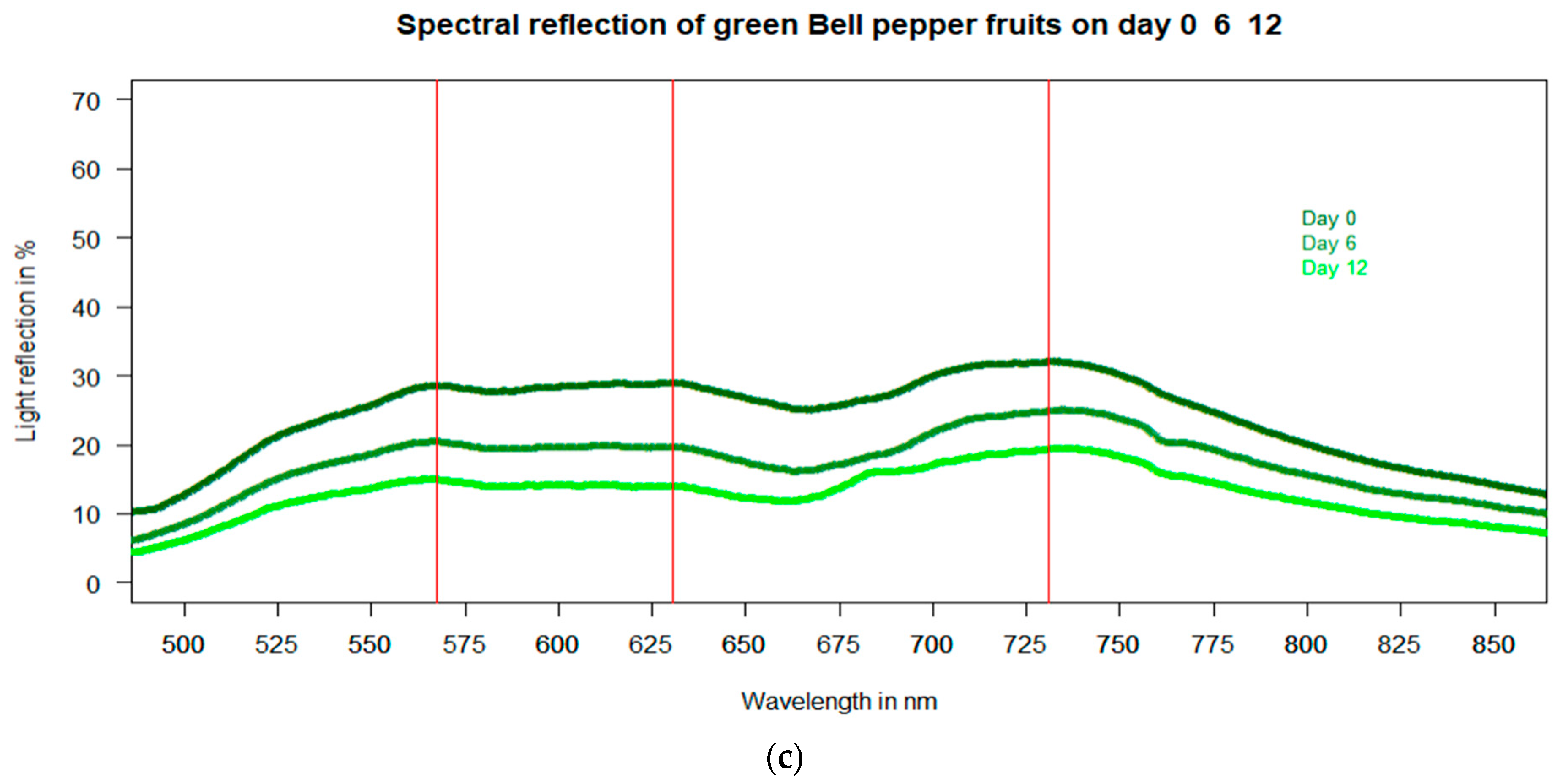Horticulturae 07 00405 g005b