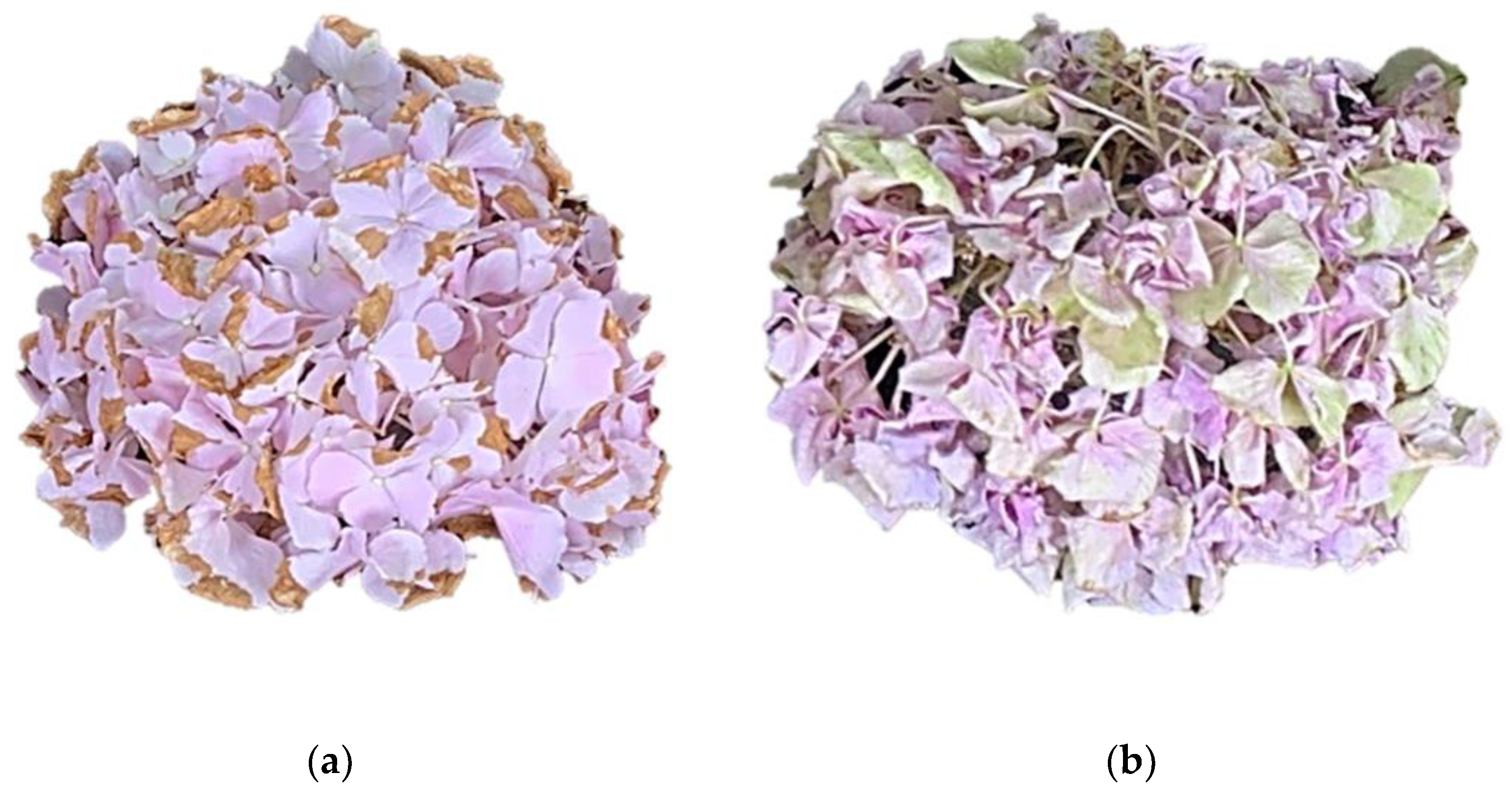 Horticulturae 07 00406 g001 Horticulturae 07 00406 g001