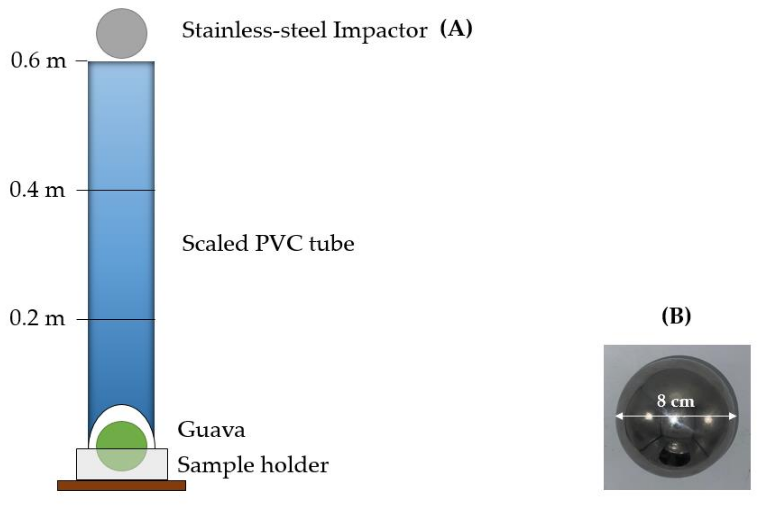 Horticulturae 07 00411 g001 550