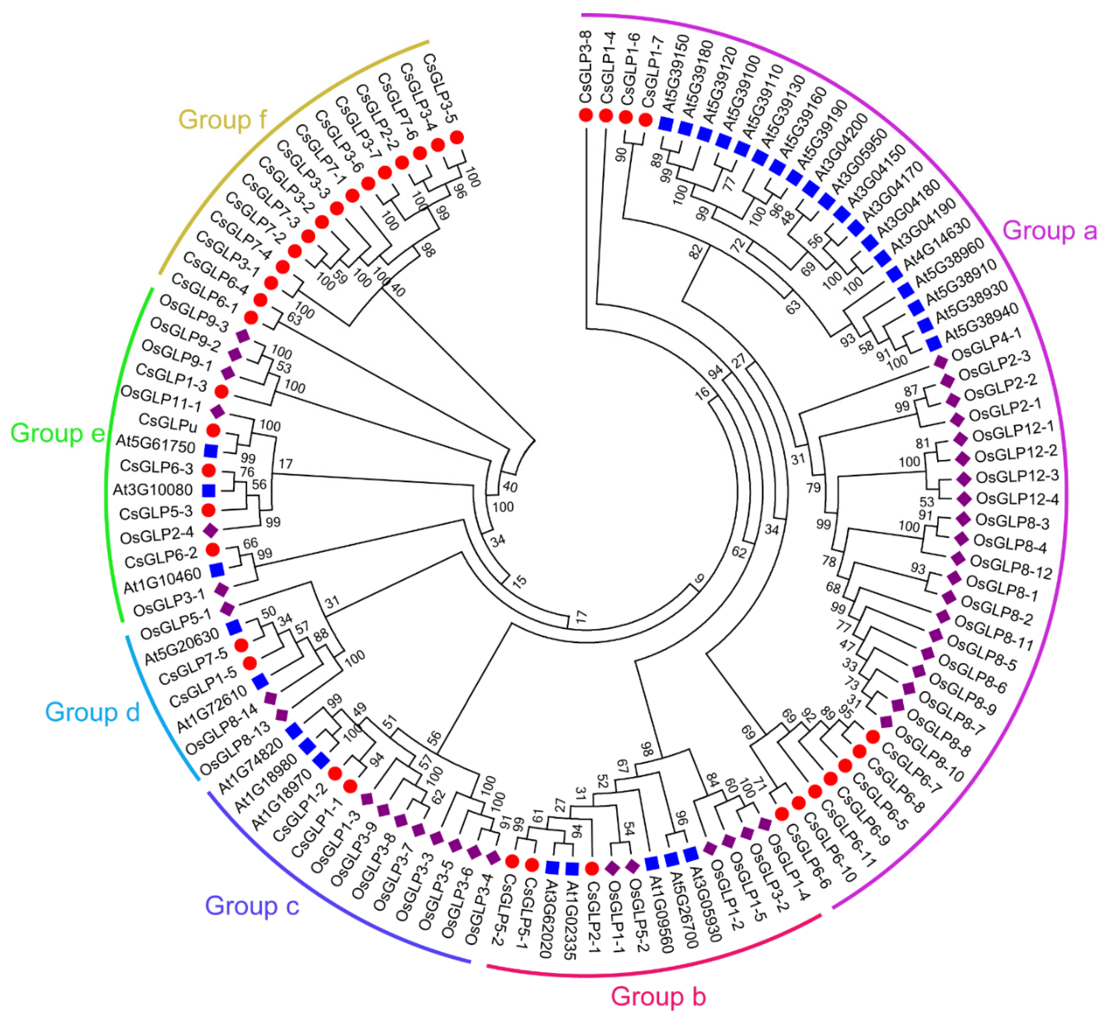 Horticulturae 07 00412 g001 550