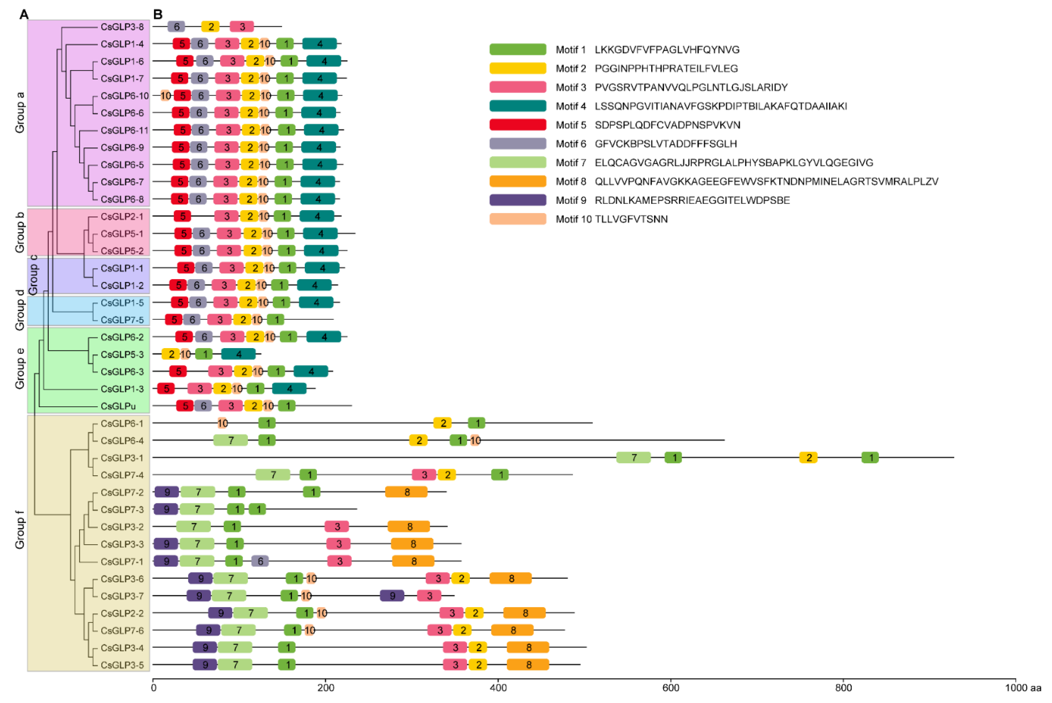 Horticulturae 07 00412 g002 550