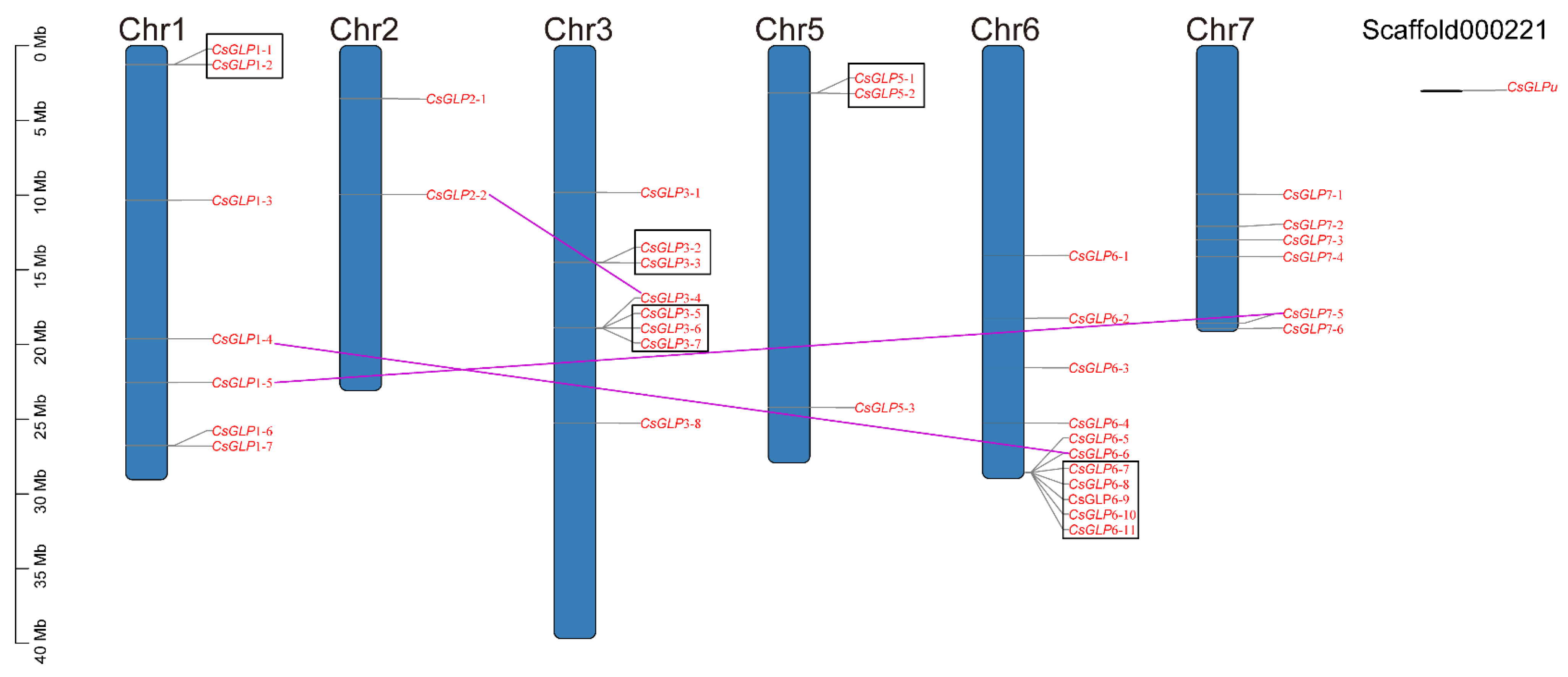 Horticulturae 07 00412 g004 550