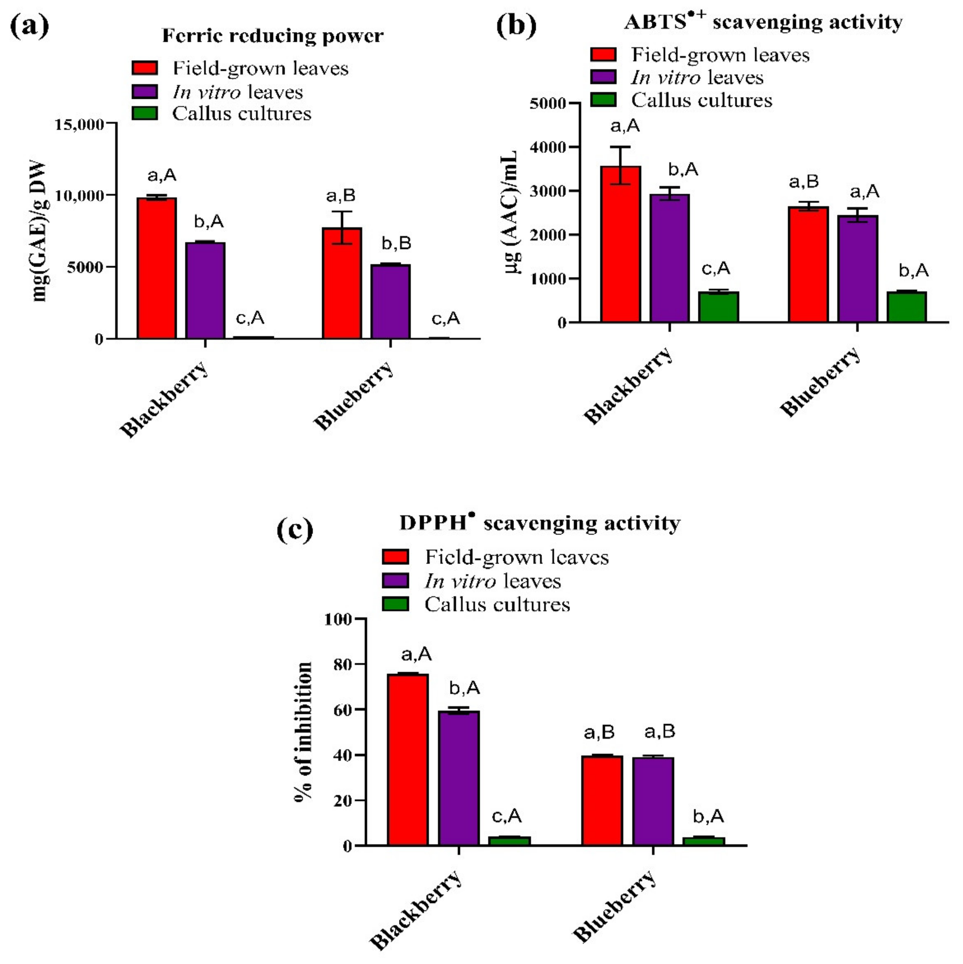 Horticulturae 07 00420 g003 Horticulturae 07 00420 g003