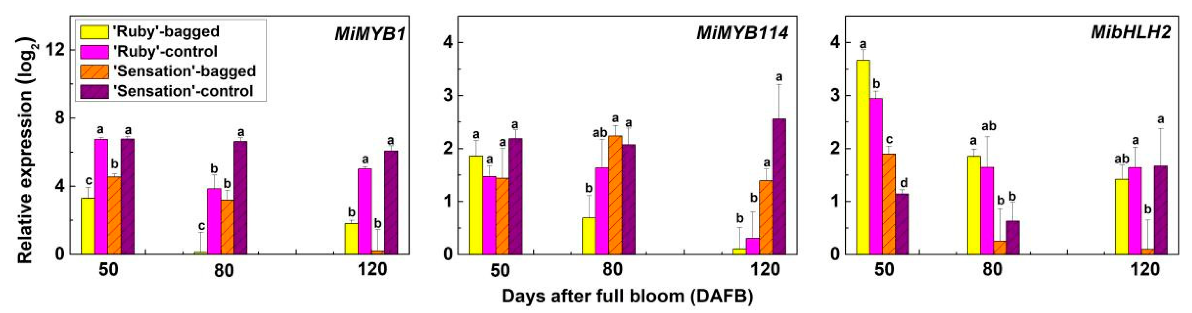 Horticulturae 07 00423 g004 Horticulturae 07 00423 g004