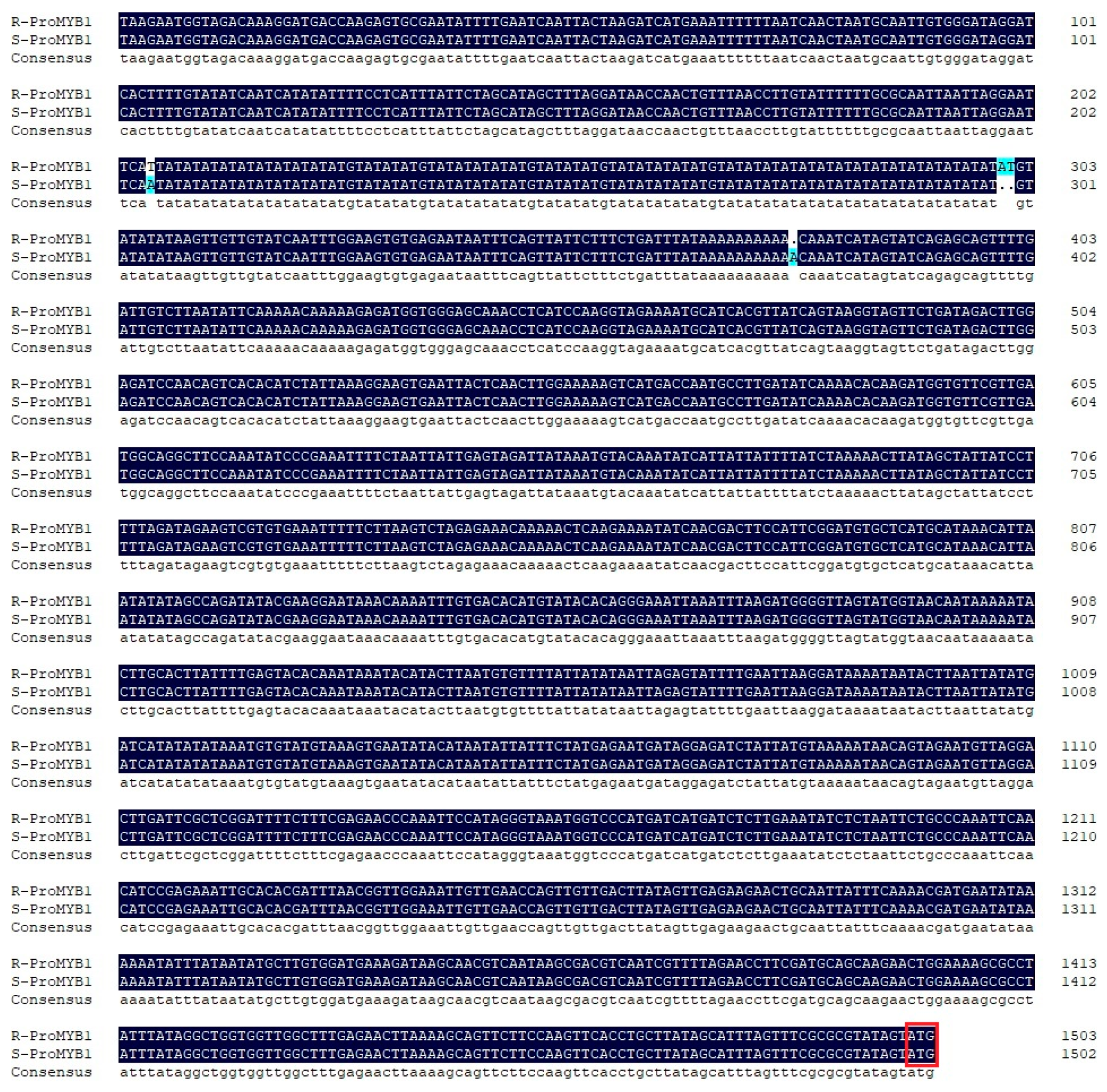 Horticulturae 07 00423 g005 Horticulturae 07 00423 g005