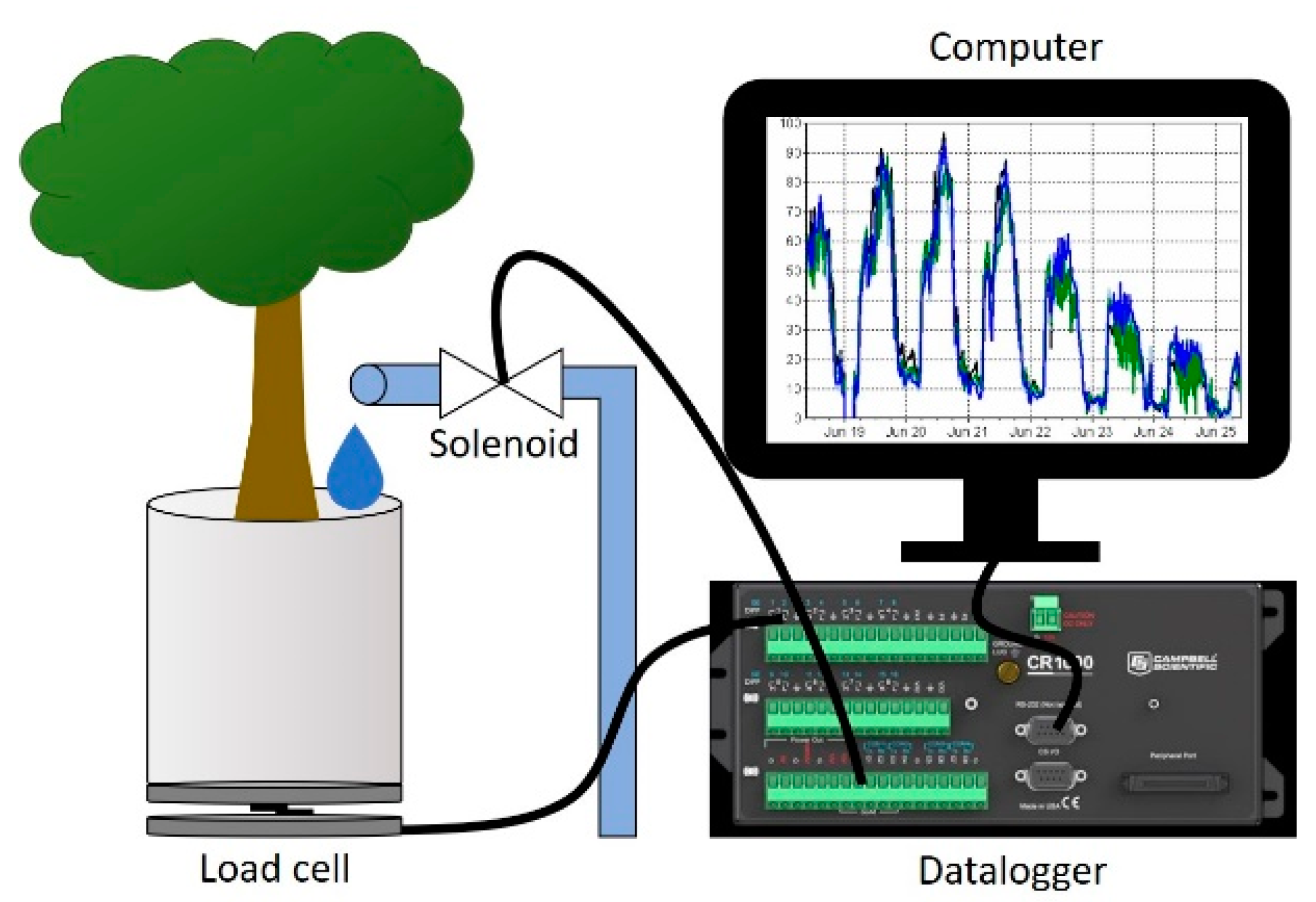 Horticulturae 07 00424 g002