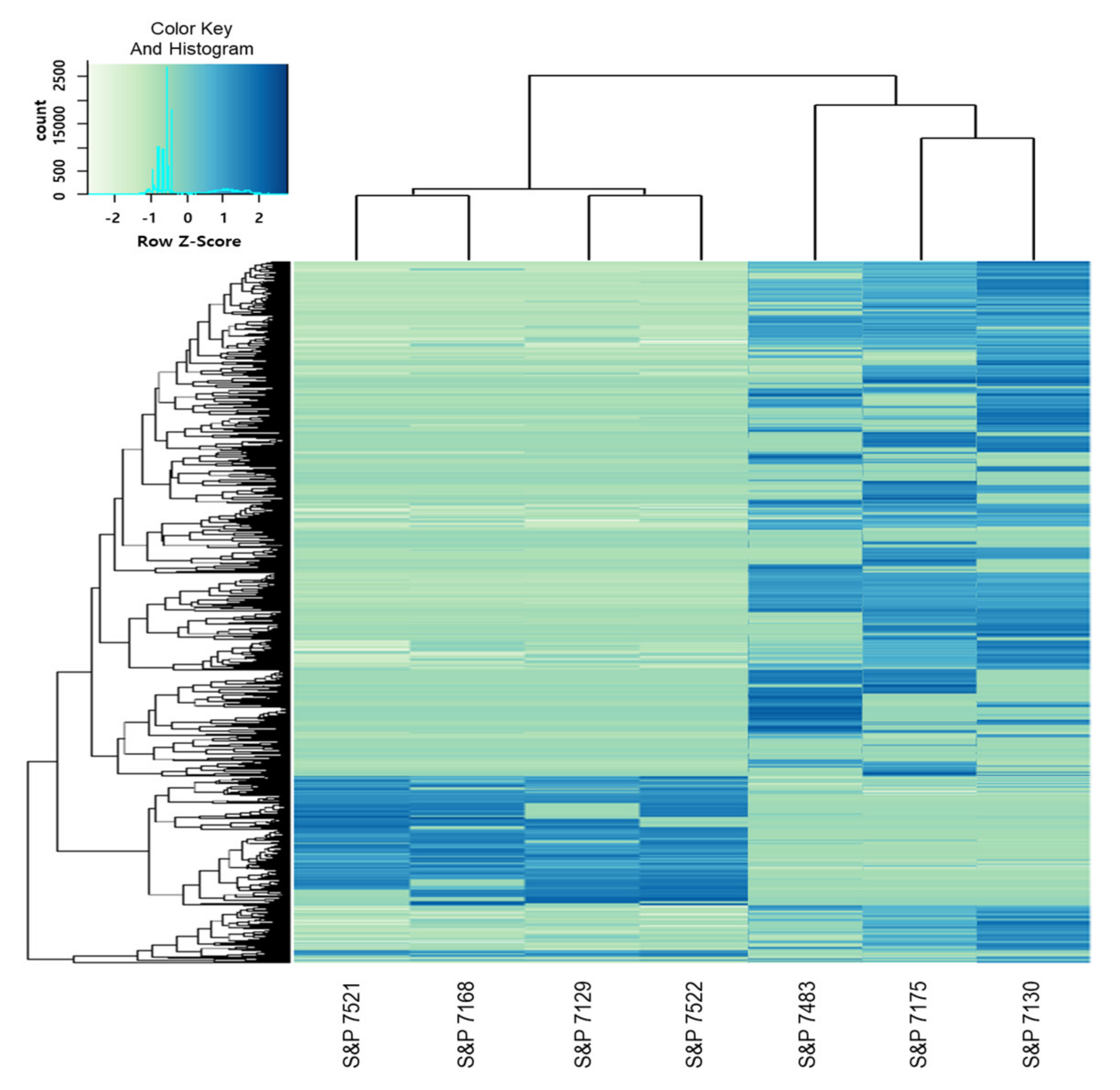 Horticulturae 07 00436 g004