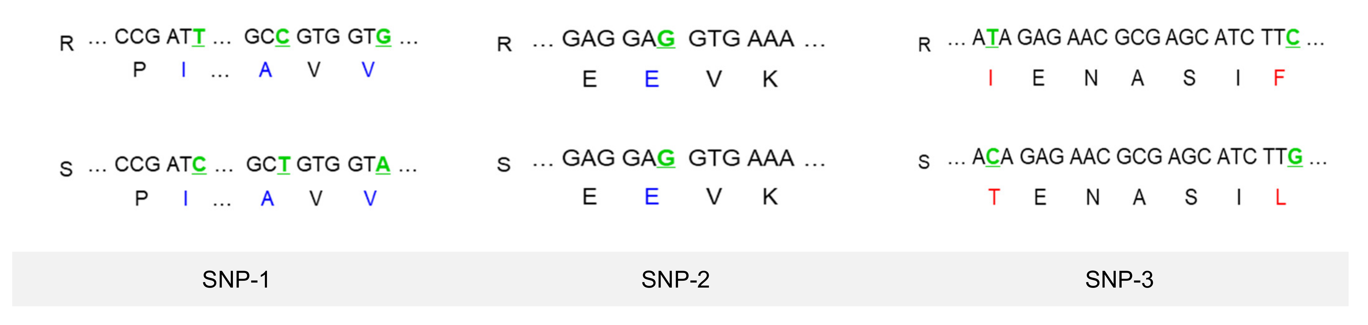 Horticulturae 07 00436 g005a