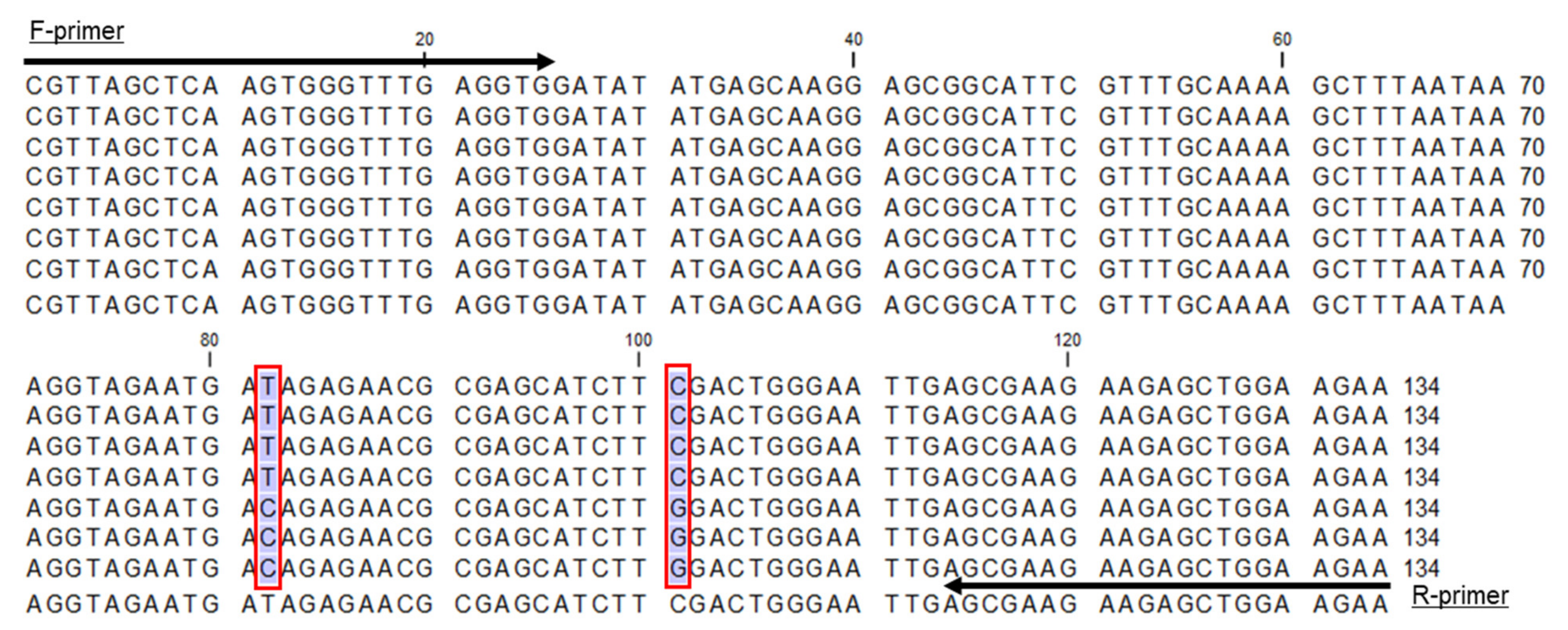 Horticulturae 07 00436 g006