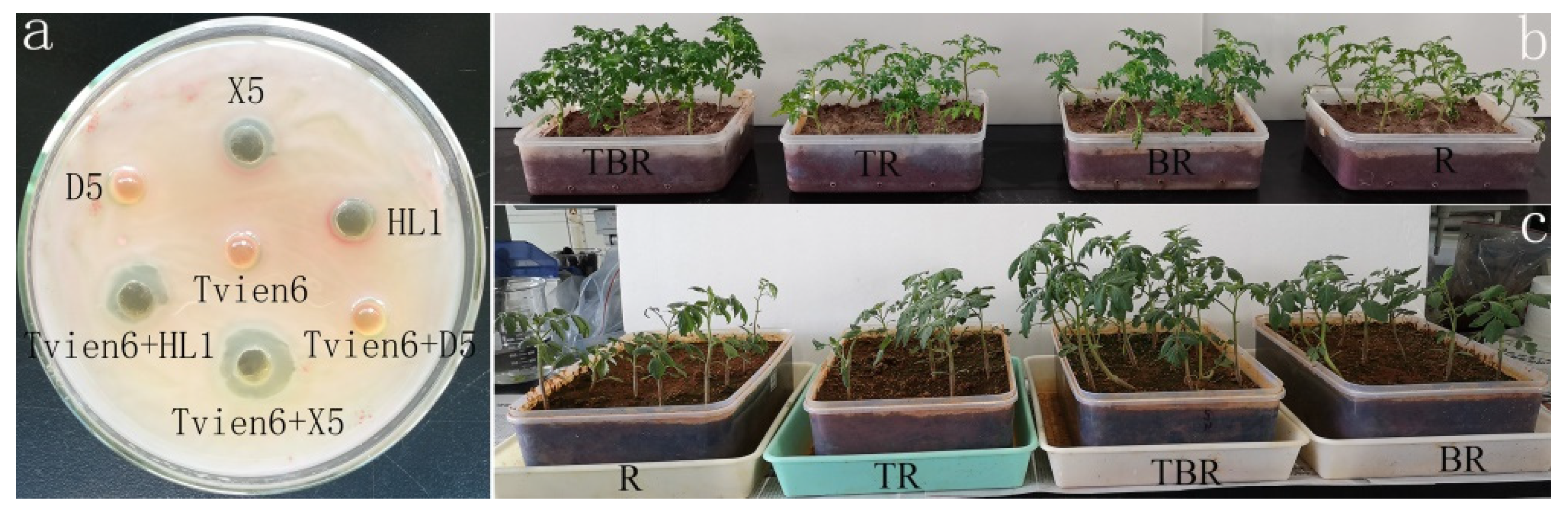 Horticulturae 07 00439 g001 Horticulturae 07 00439 g001