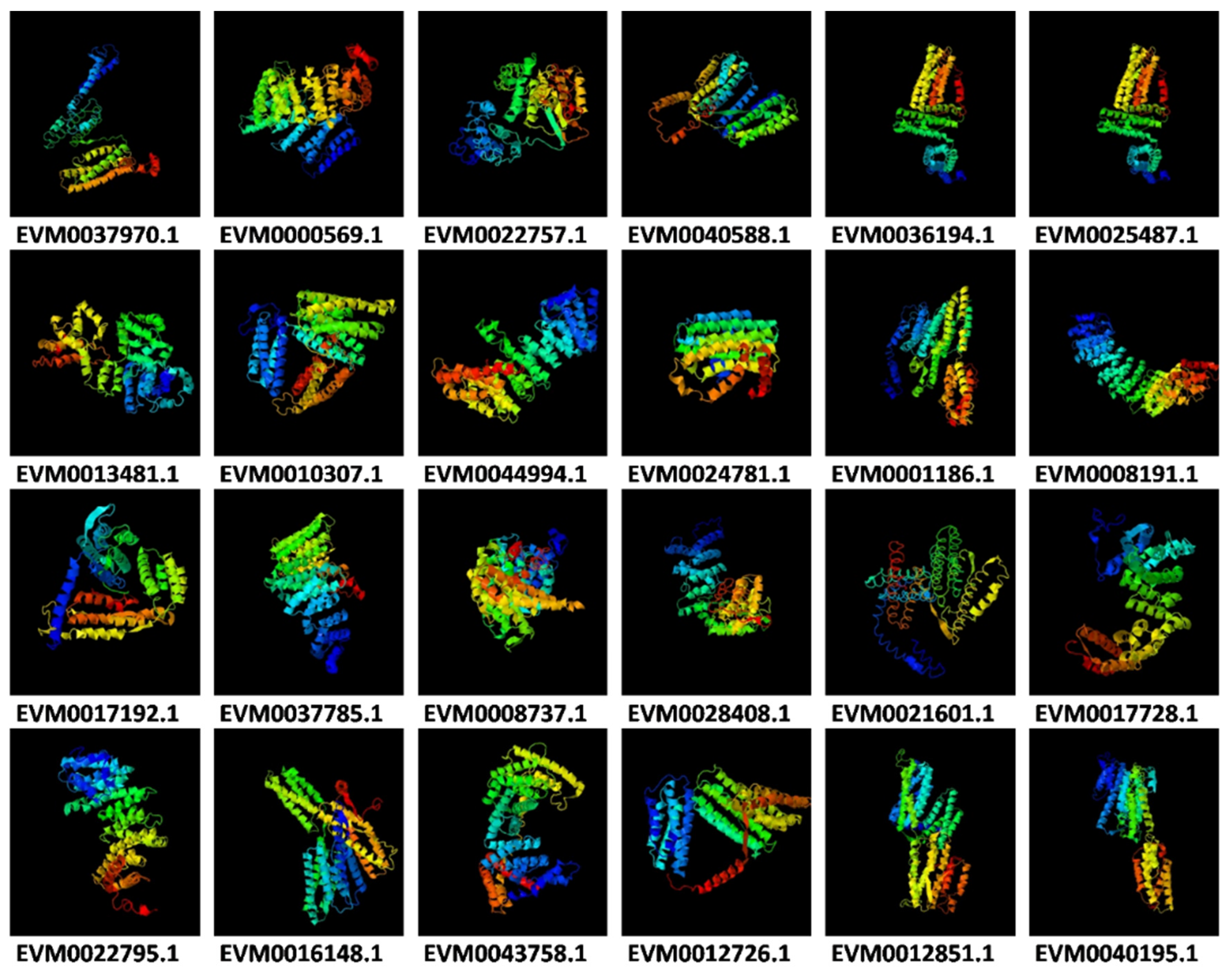 Horticulturae 07 00441 g001