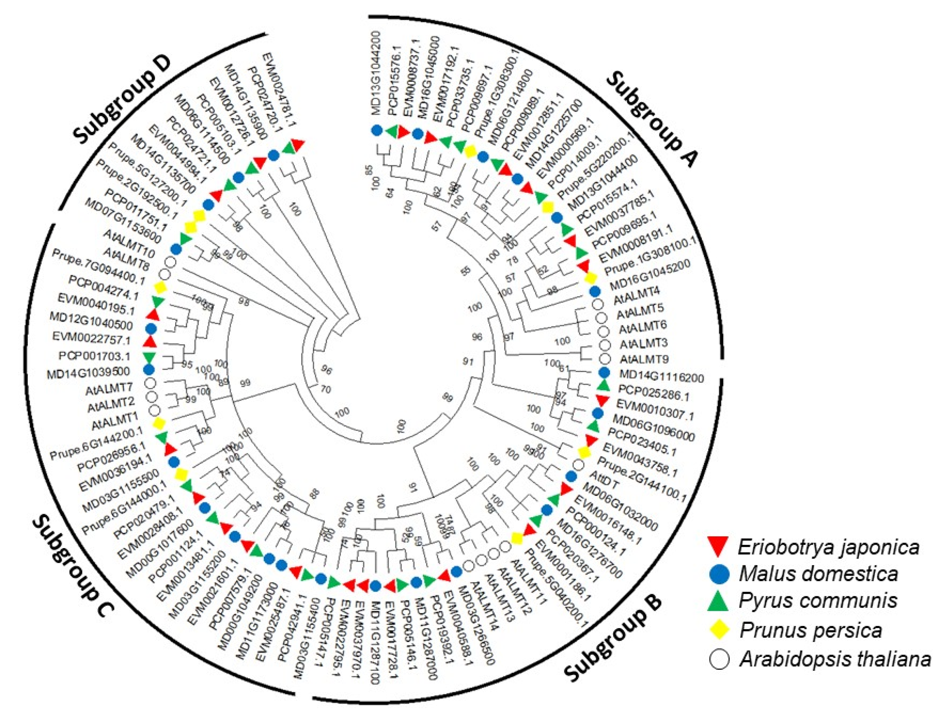Horticulturae 07 00441 g003