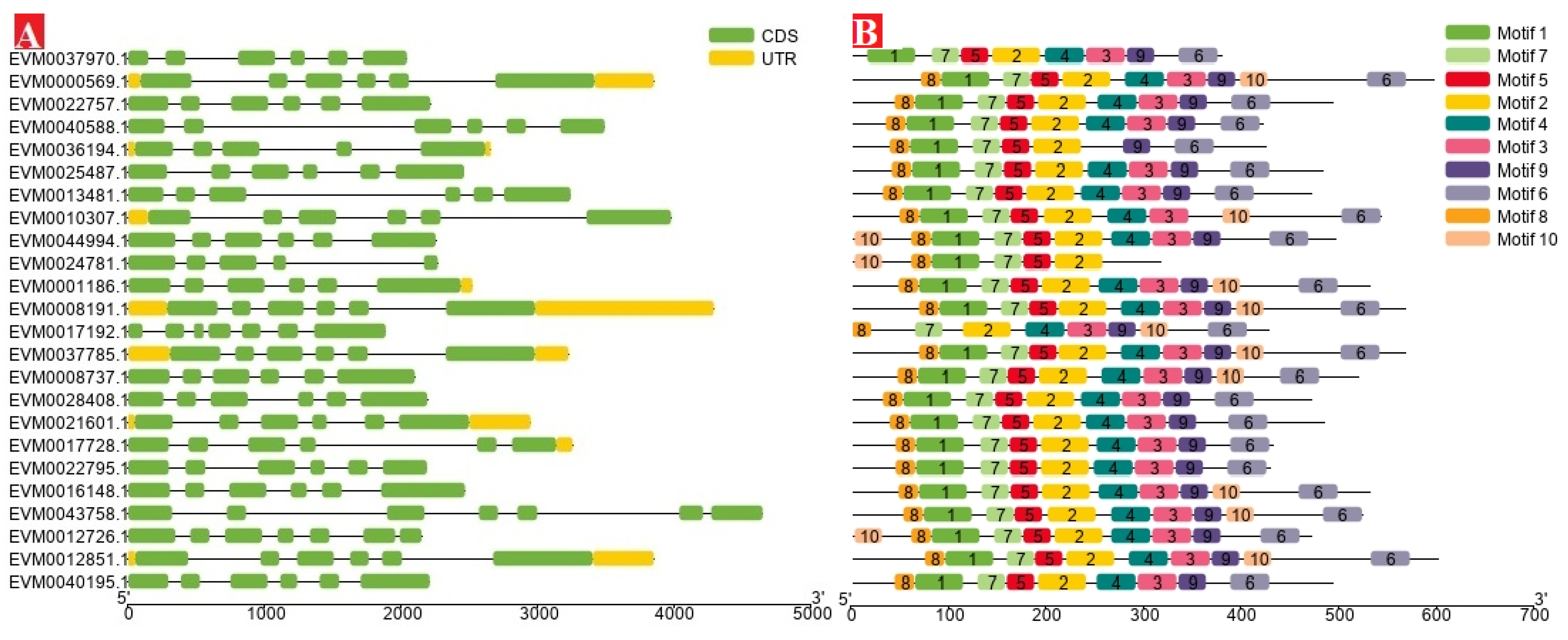 Horticulturae 07 00441 g004