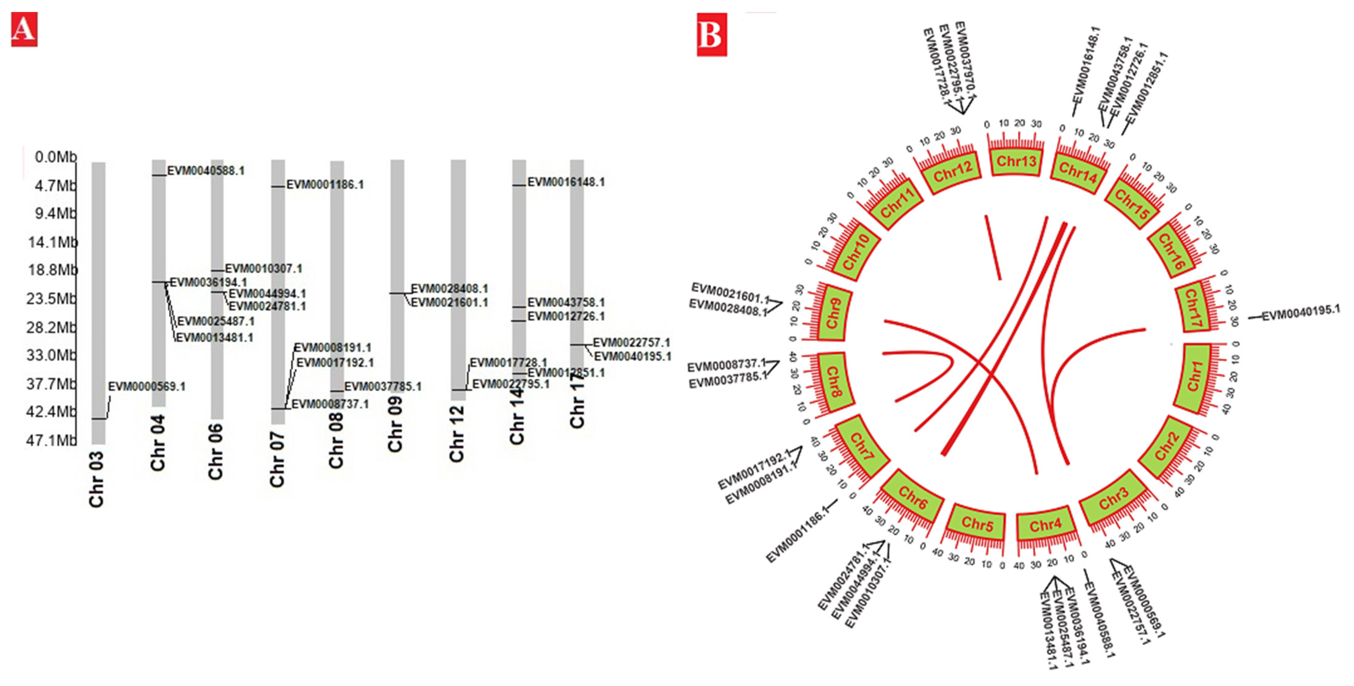 Horticulturae 07 00441 g006