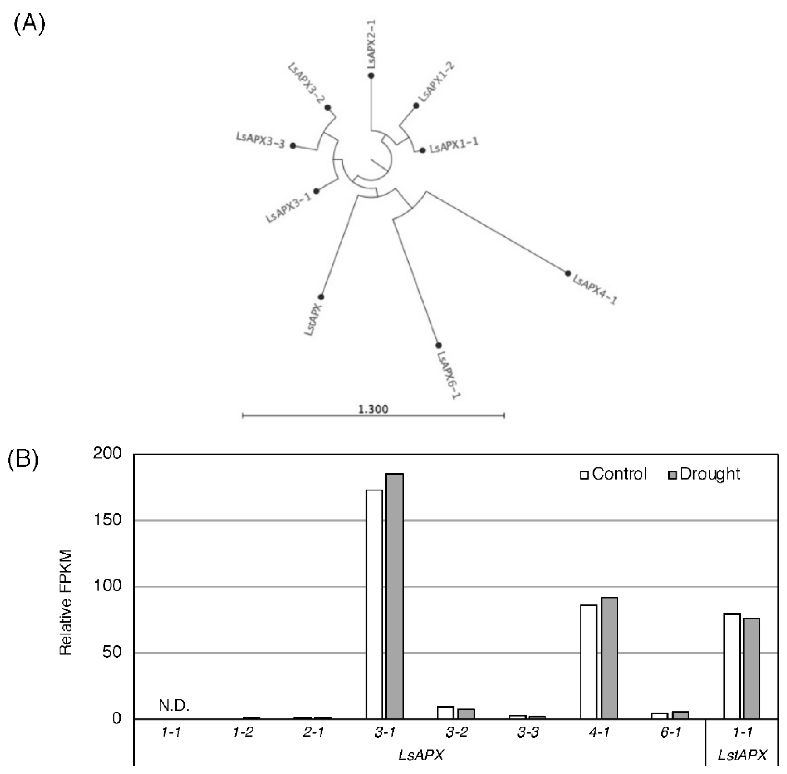 Horticulturae 07 00444 g003 Horticulturae 07 00444 g003