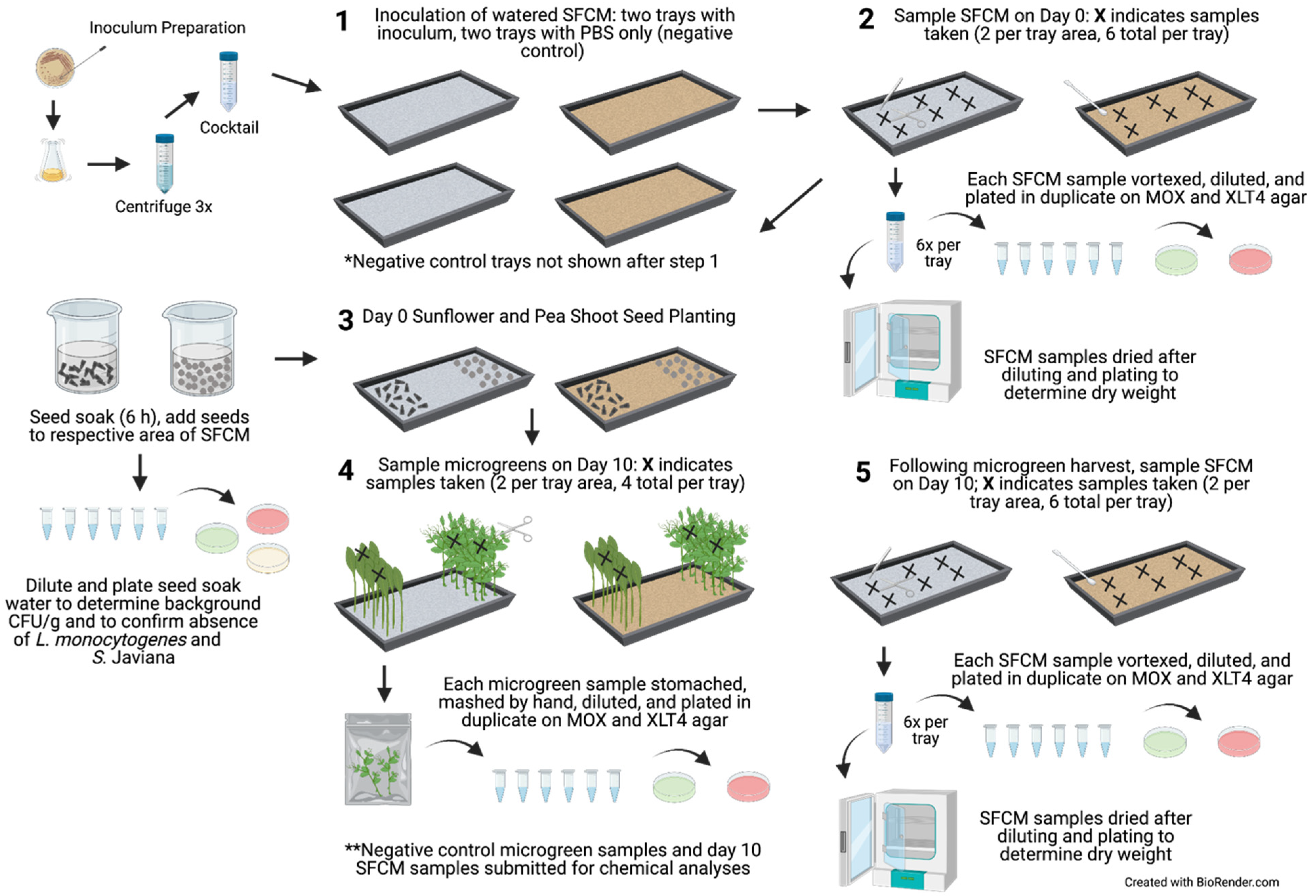 Horticulturae 07 00446 g001 550