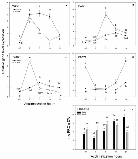 Horticulturae Free Full Text Gene Expression Under Short Term Low Temperatures Preliminary Screening Method To Obtain Tolerant Citrus Rootstocks Html Horticulturae Free Full Text Gene Expression Under Short Term Low Temperatures Preliminary Screening Method To Obtain Tolerant Citrus Rootstocks Html