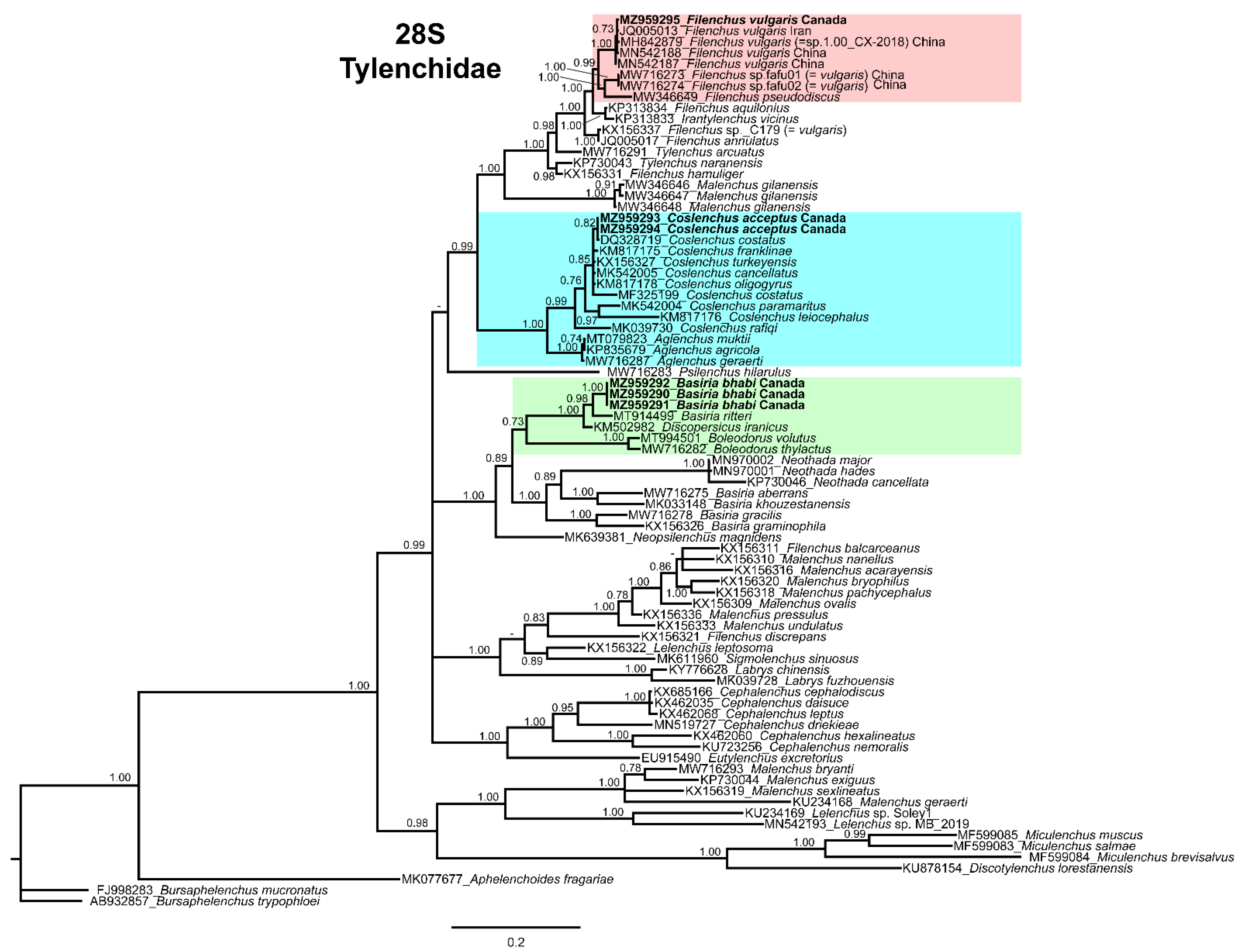 Horticulturae 07 00449 g004