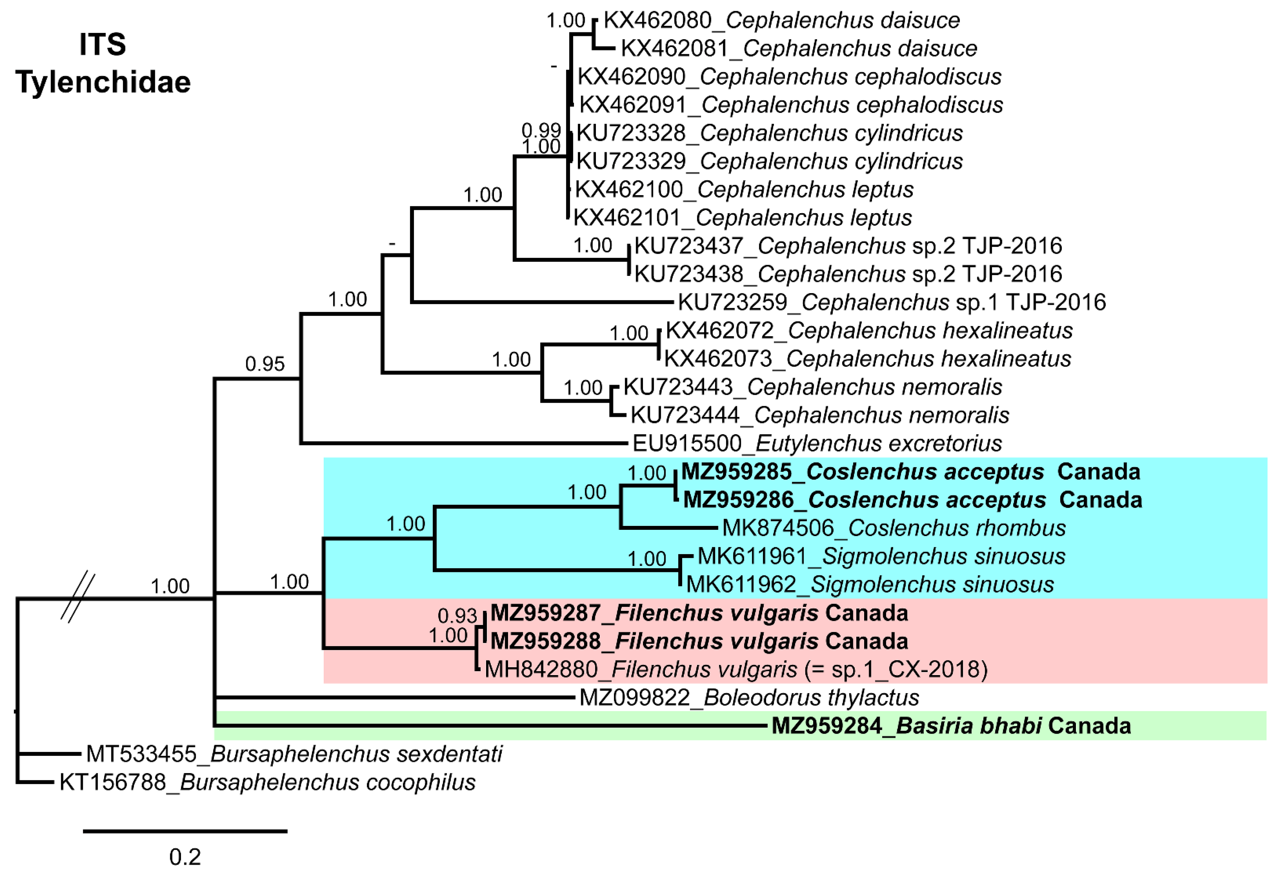 Horticulturae 07 00449 g005