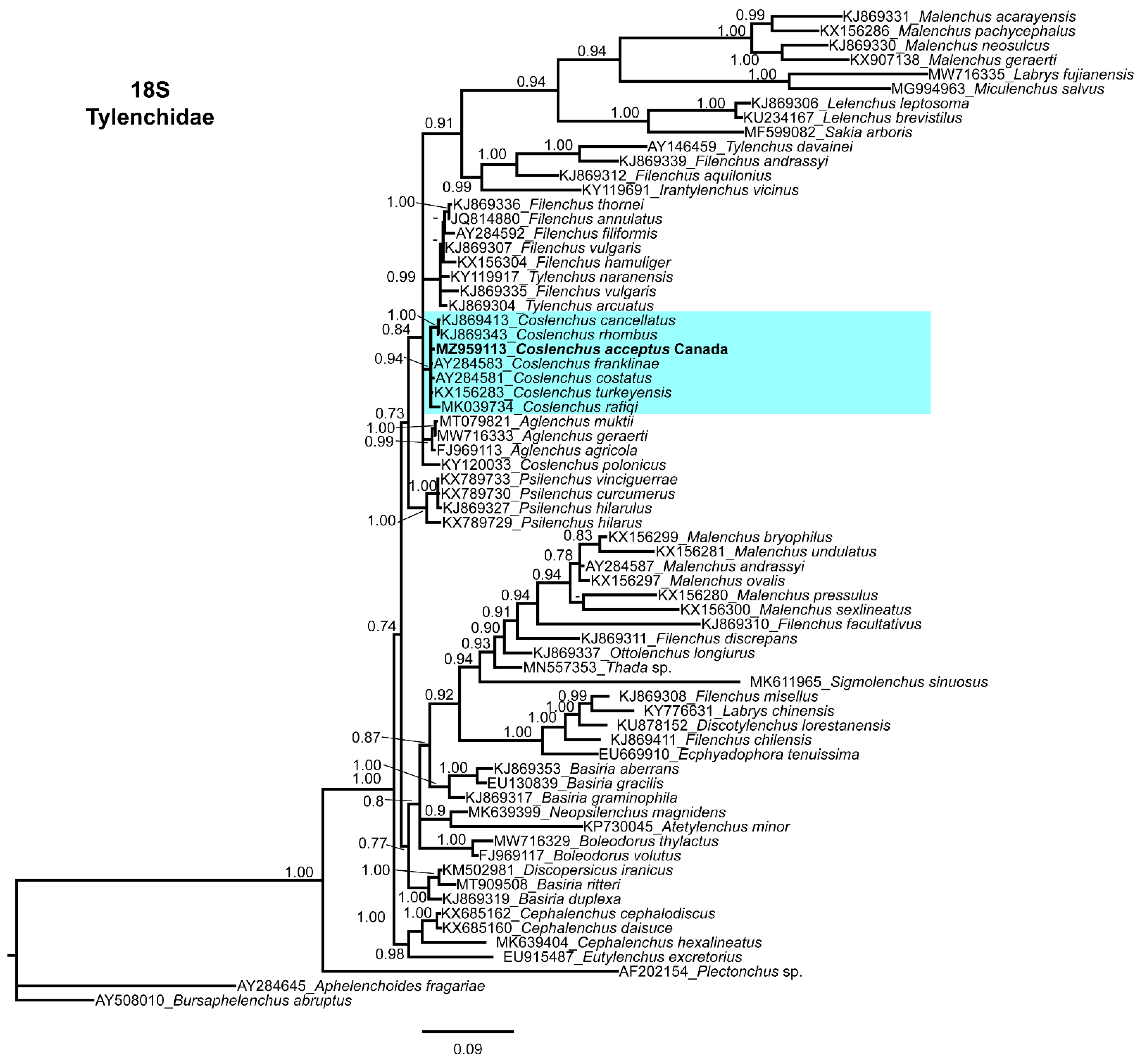 Horticulturae 07 00449 g006