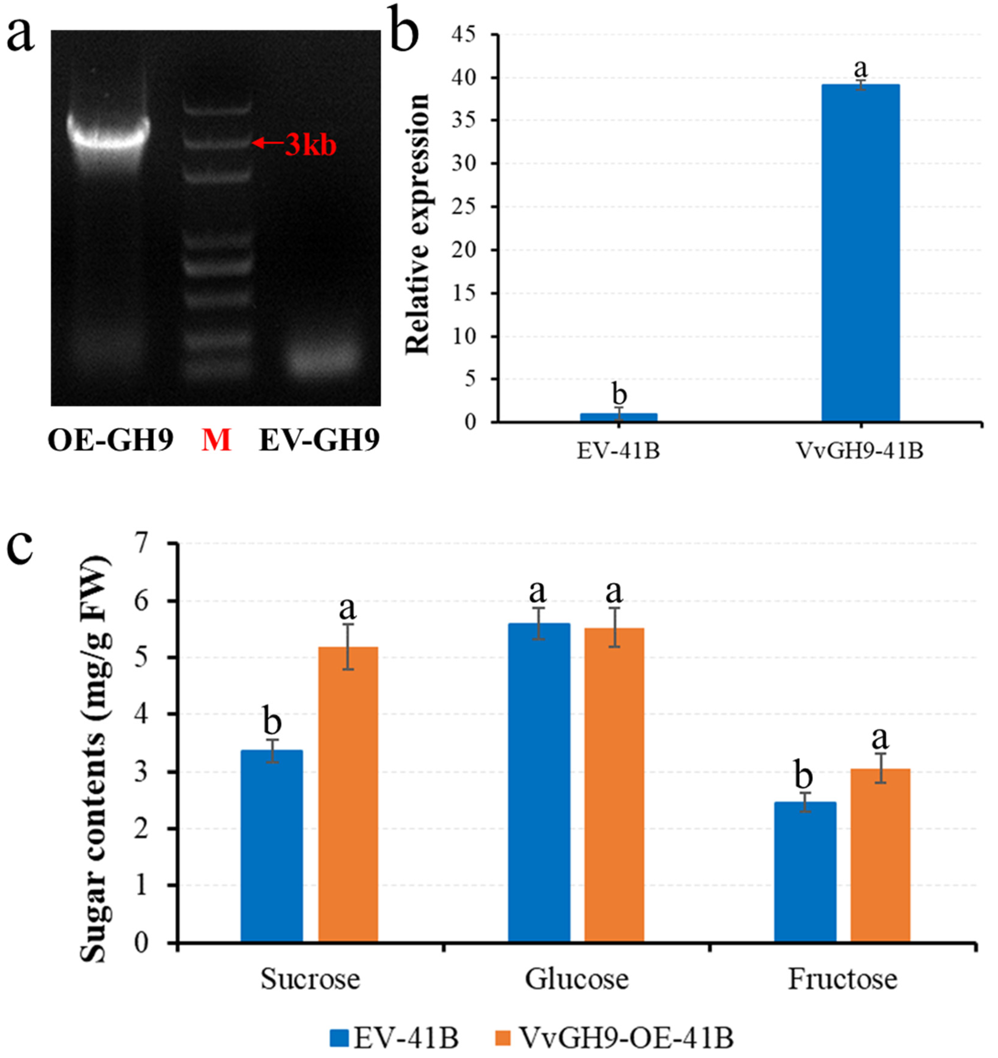 Horticulturae 07 00453 g008 550