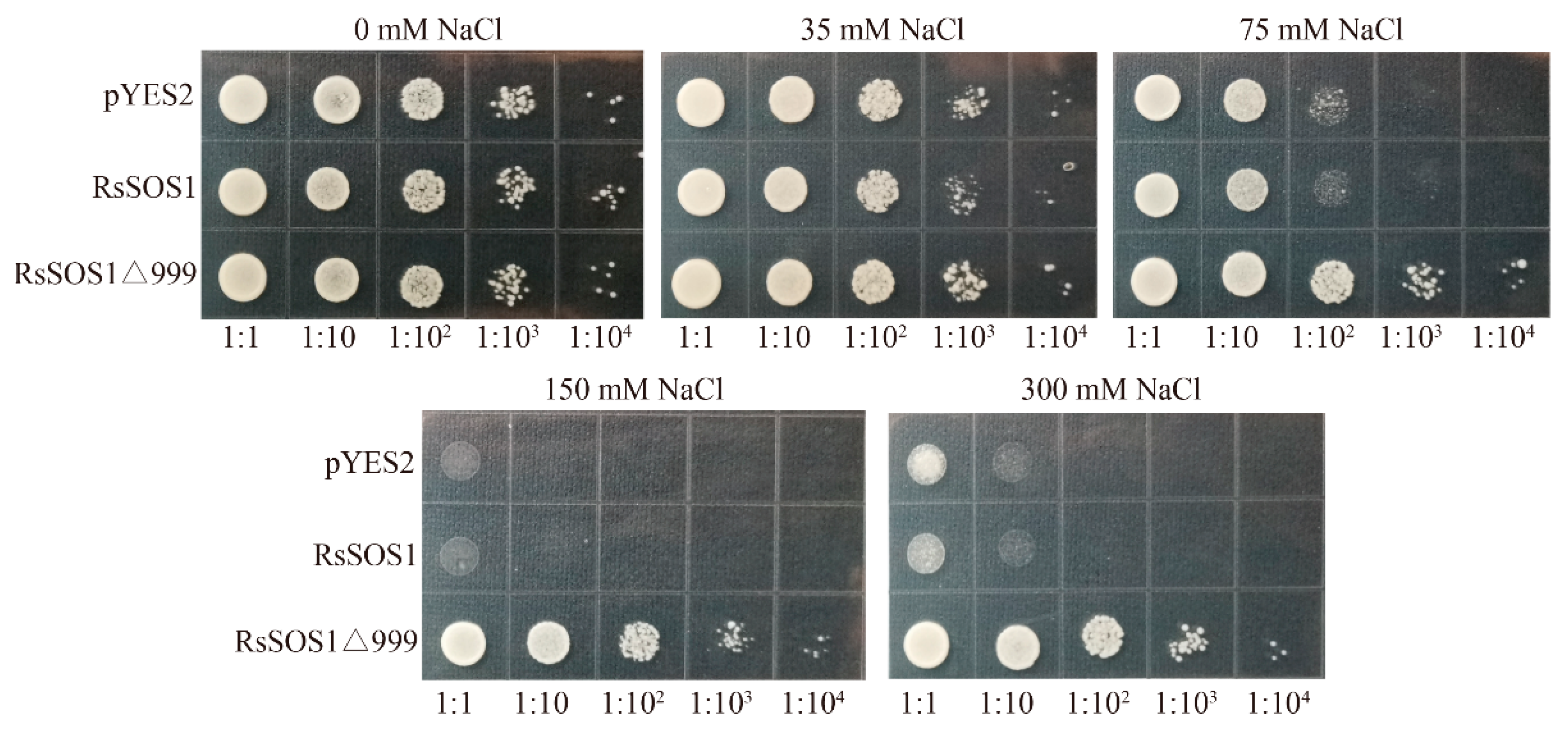 Horticulturae 07 00458 g006 550