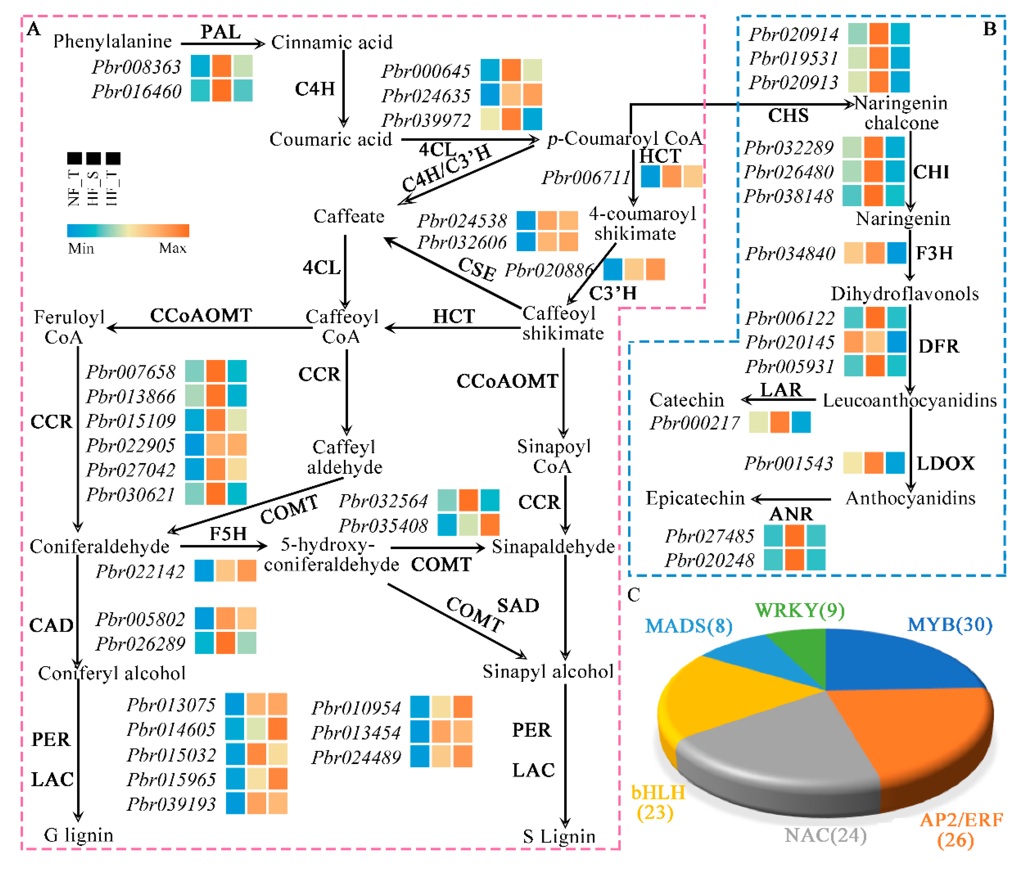Horticulturae 07 00467 g004 Horticulturae 07 00467 g004