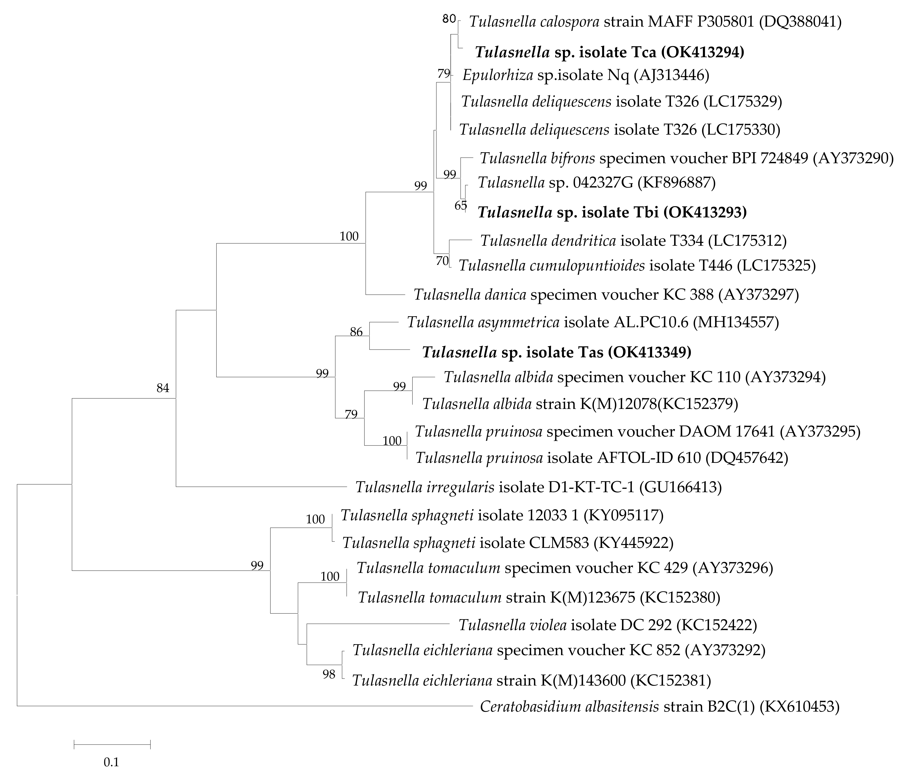 Horticulturae 07 00472 g003 Horticulturae 07 00472 g003