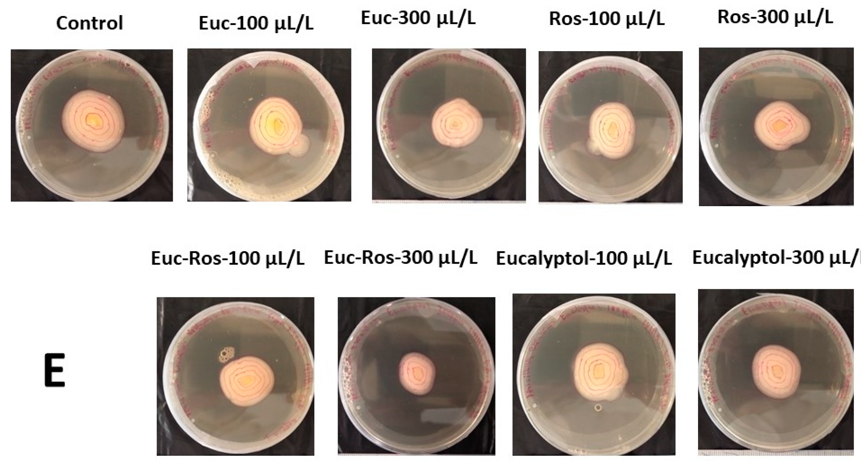 Horticulturae 07 00479 g001b