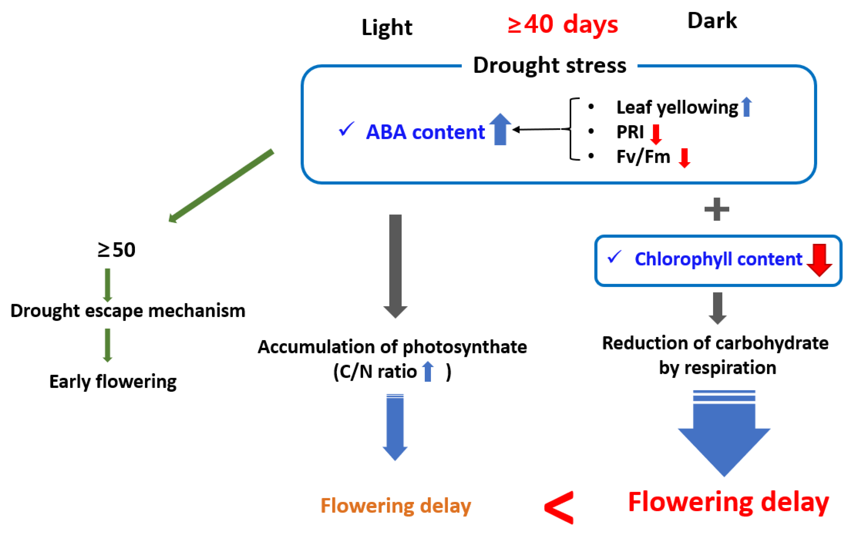 Horticulturae 07 00483 g012