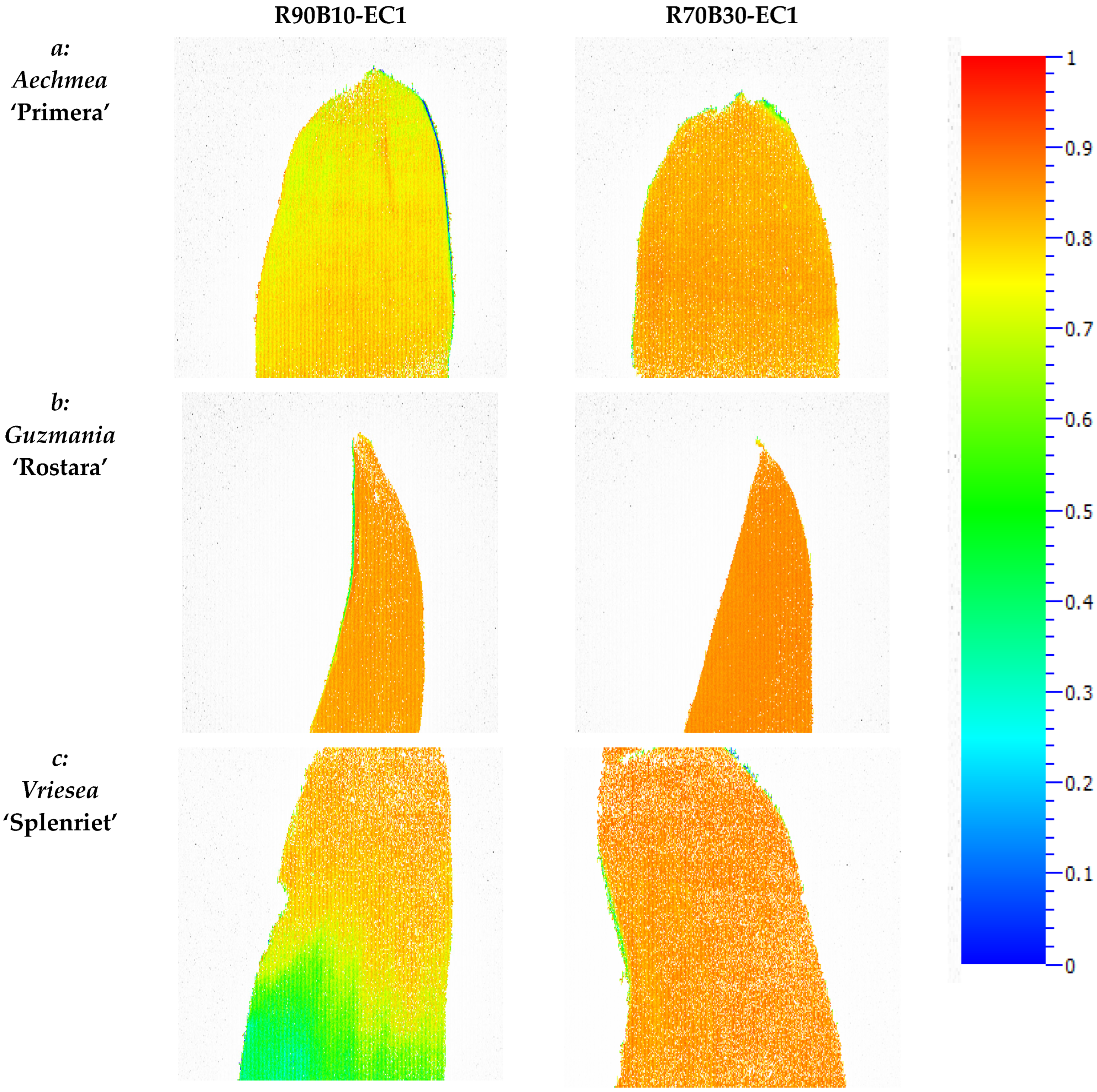 Horticulturae 07 00485 g005