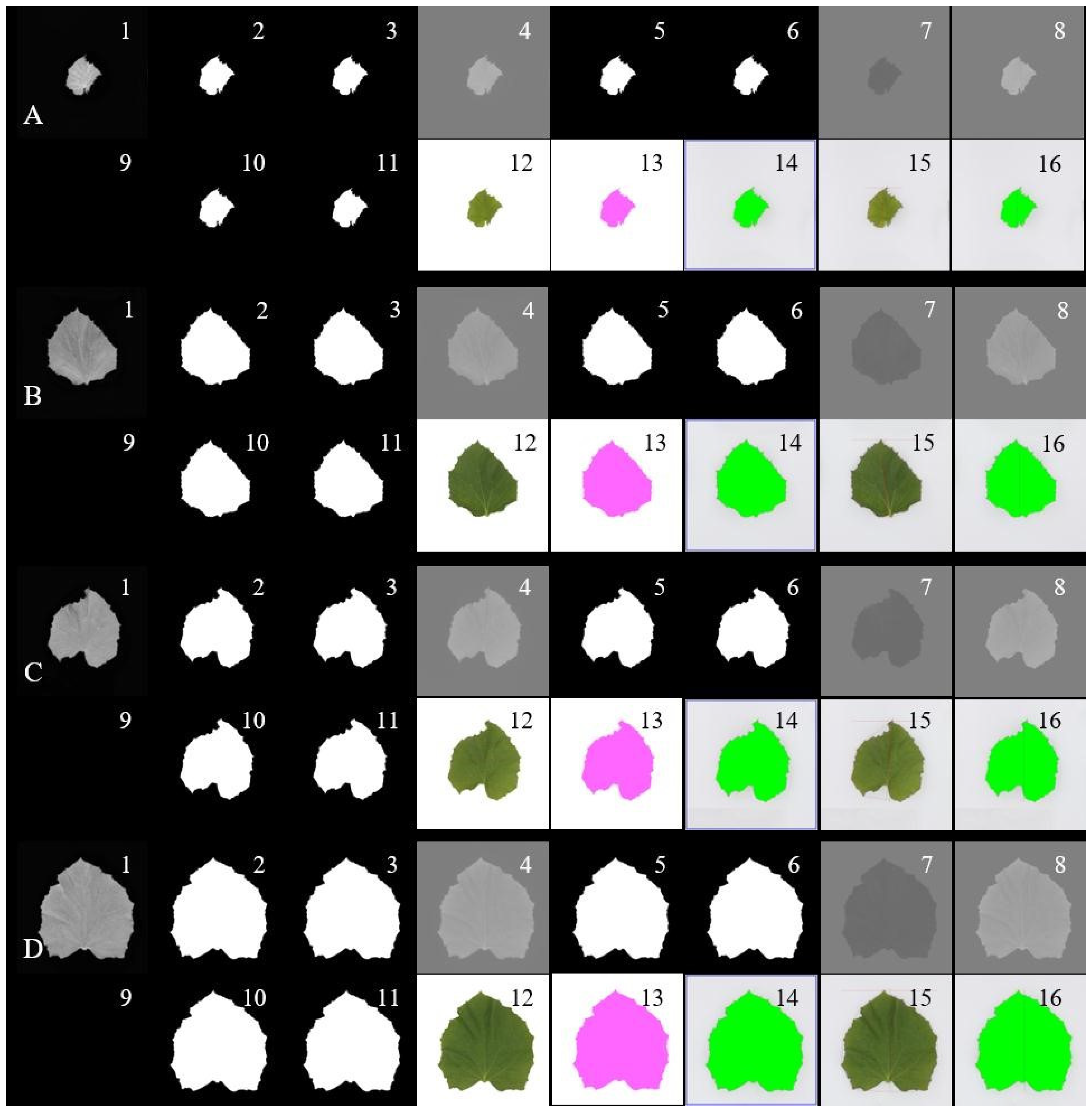 Horticulturae 07 00489 g004 Horticulturae 07 00489 g004