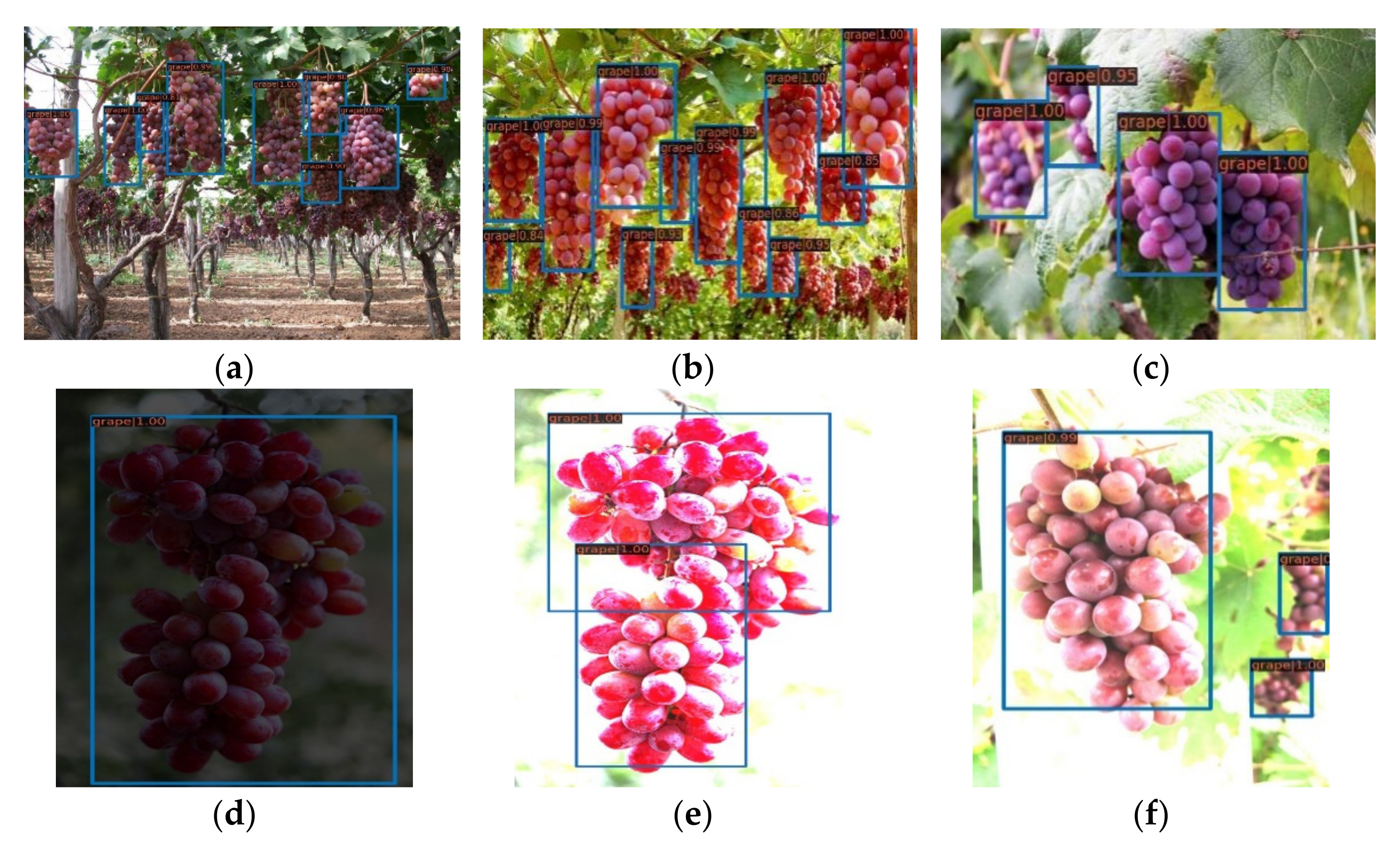 Horticulturae 07 00492 g007 550