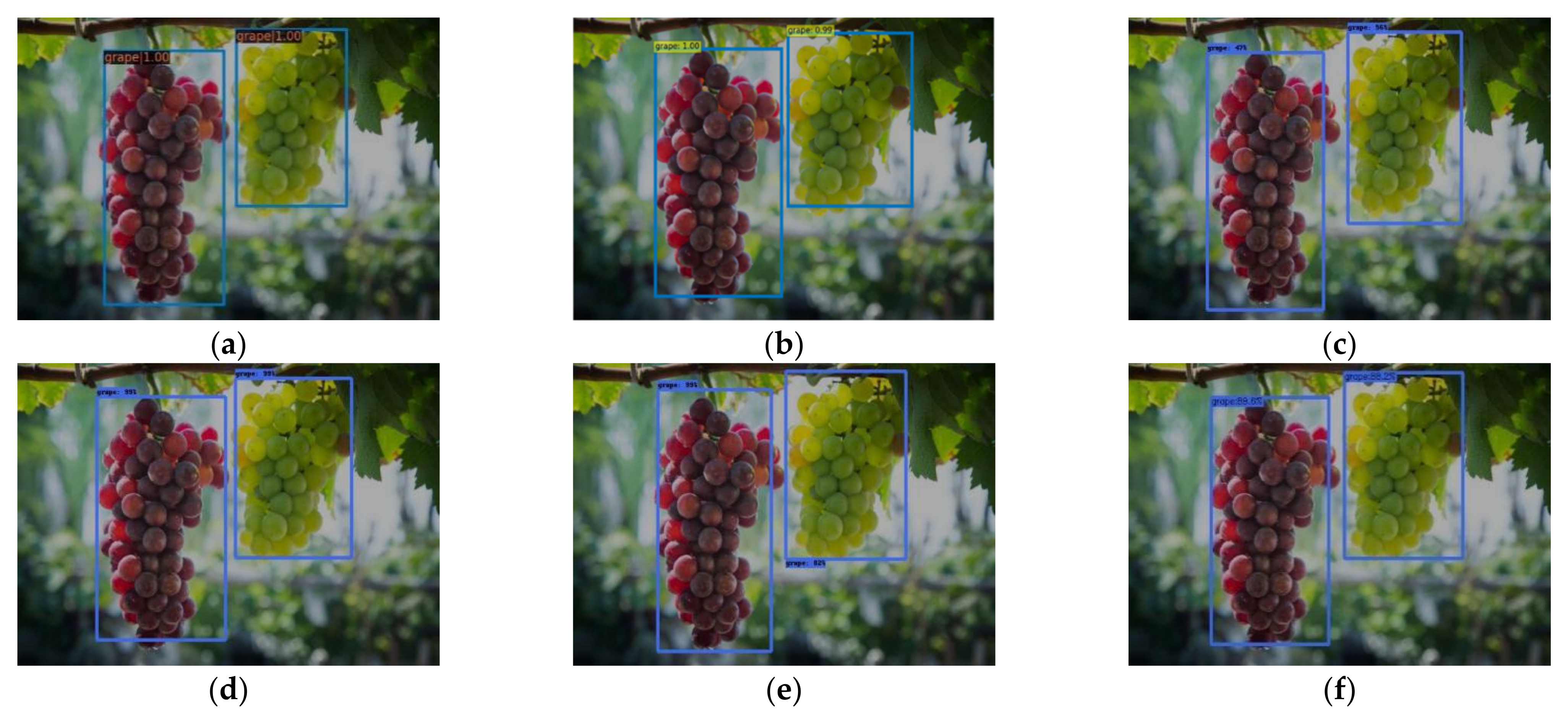 Horticulturae 07 00492 g009 550