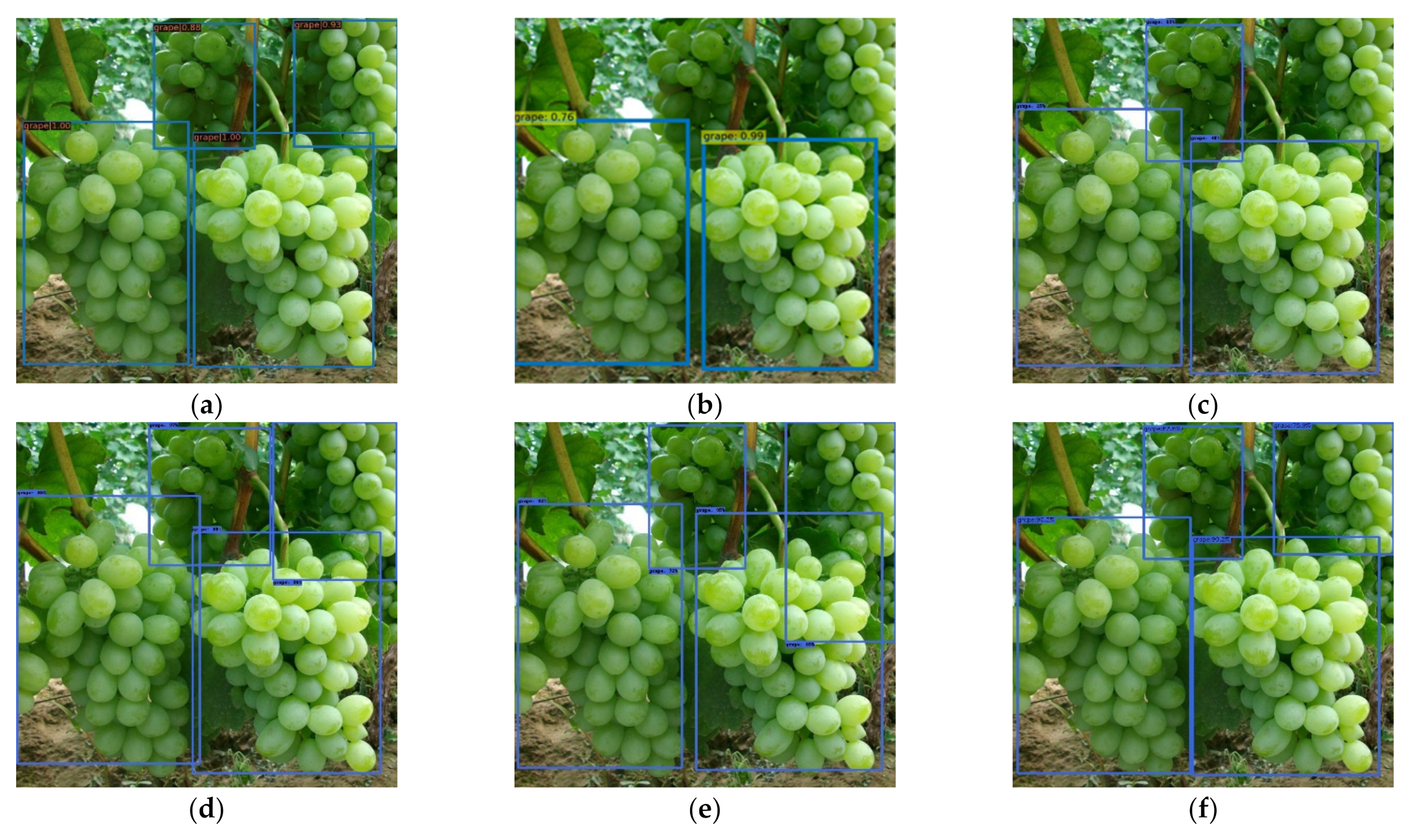 Horticulturae 07 00492 g010 550