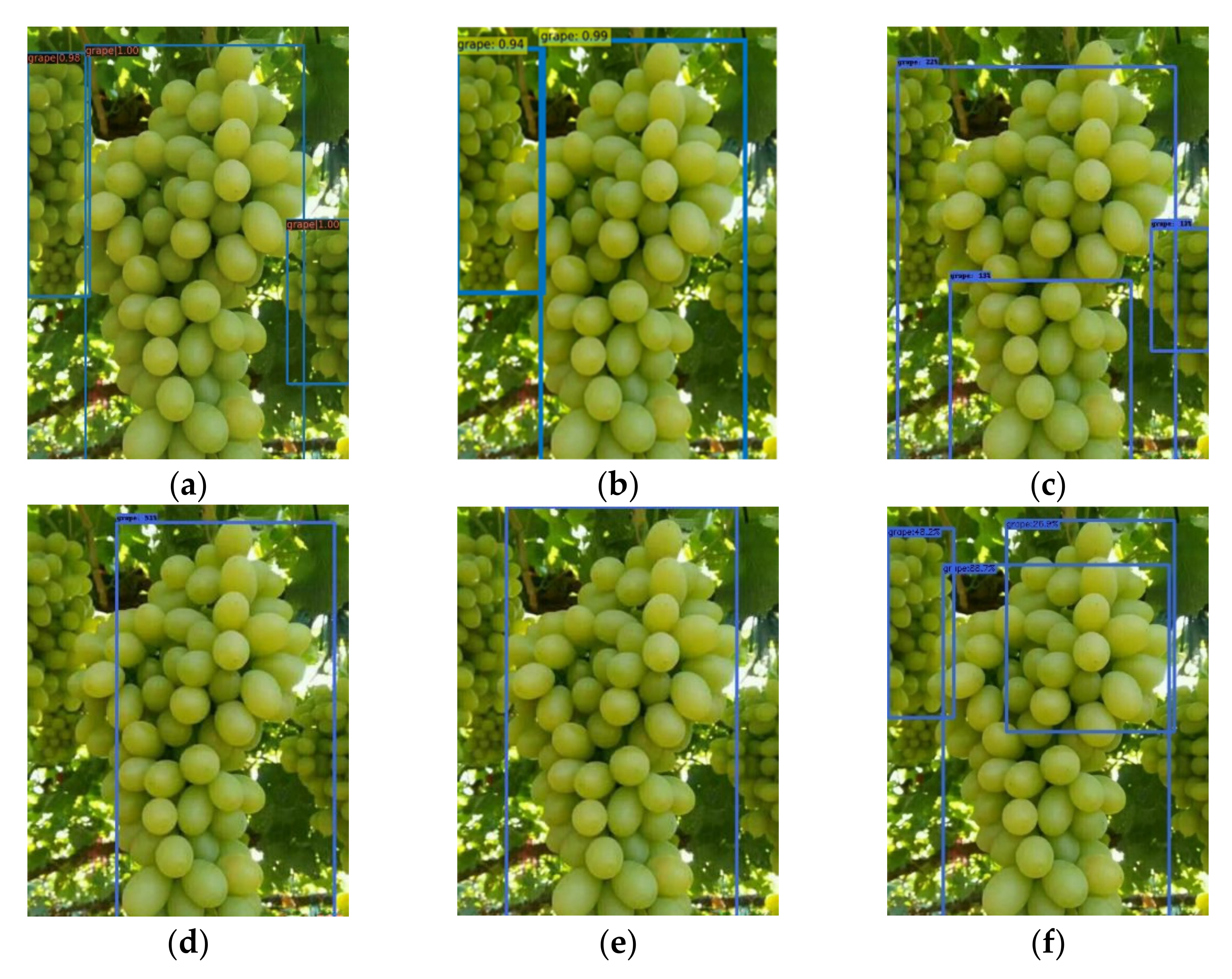 Horticulturae 07 00492 g012 550