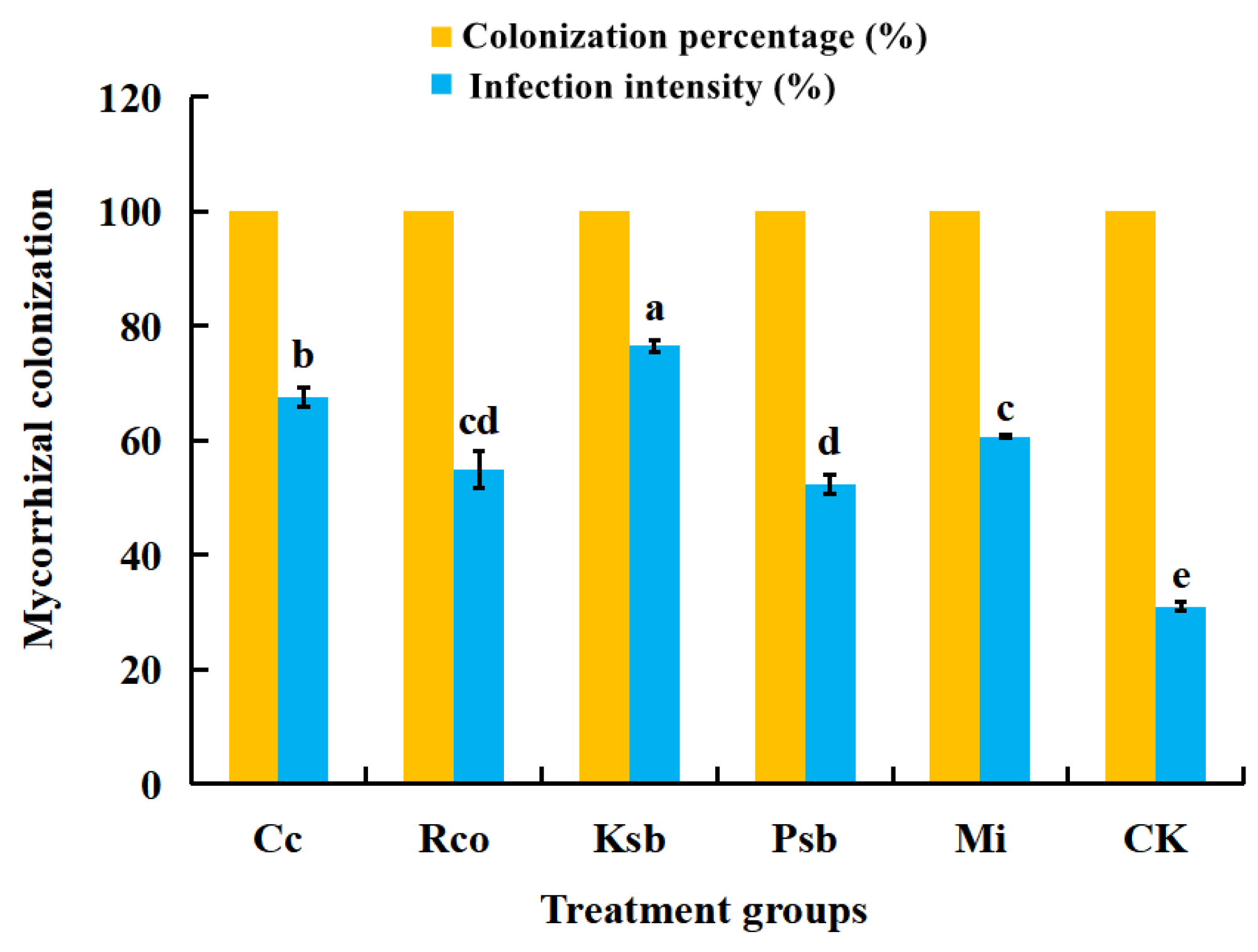 ミモザ The Effect of Microbial Fertilizer on the Growth